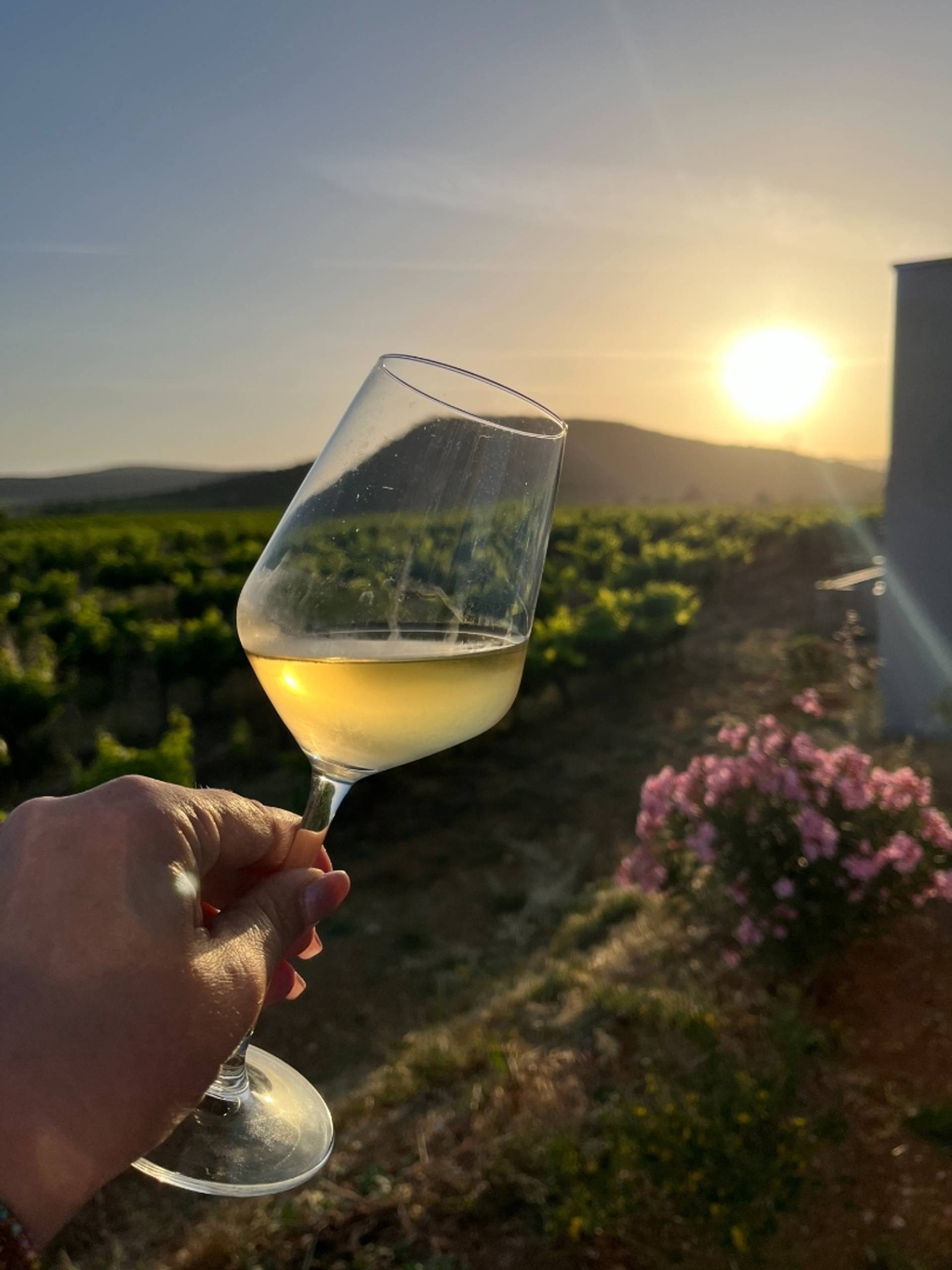 Sunset Party: July 25, 2026