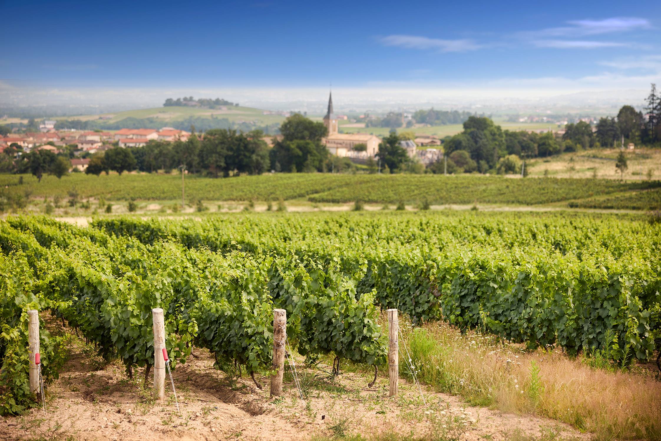 In the footsteps of the Marquis de Montaigu