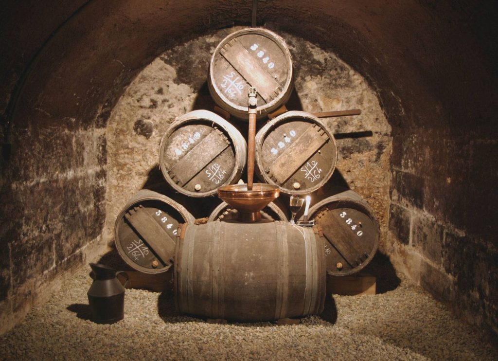 Museum visit and wine tasting