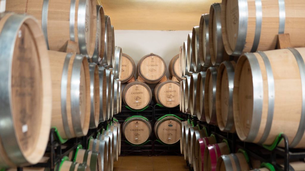 Visit with wine pairing Bodegas Calvente