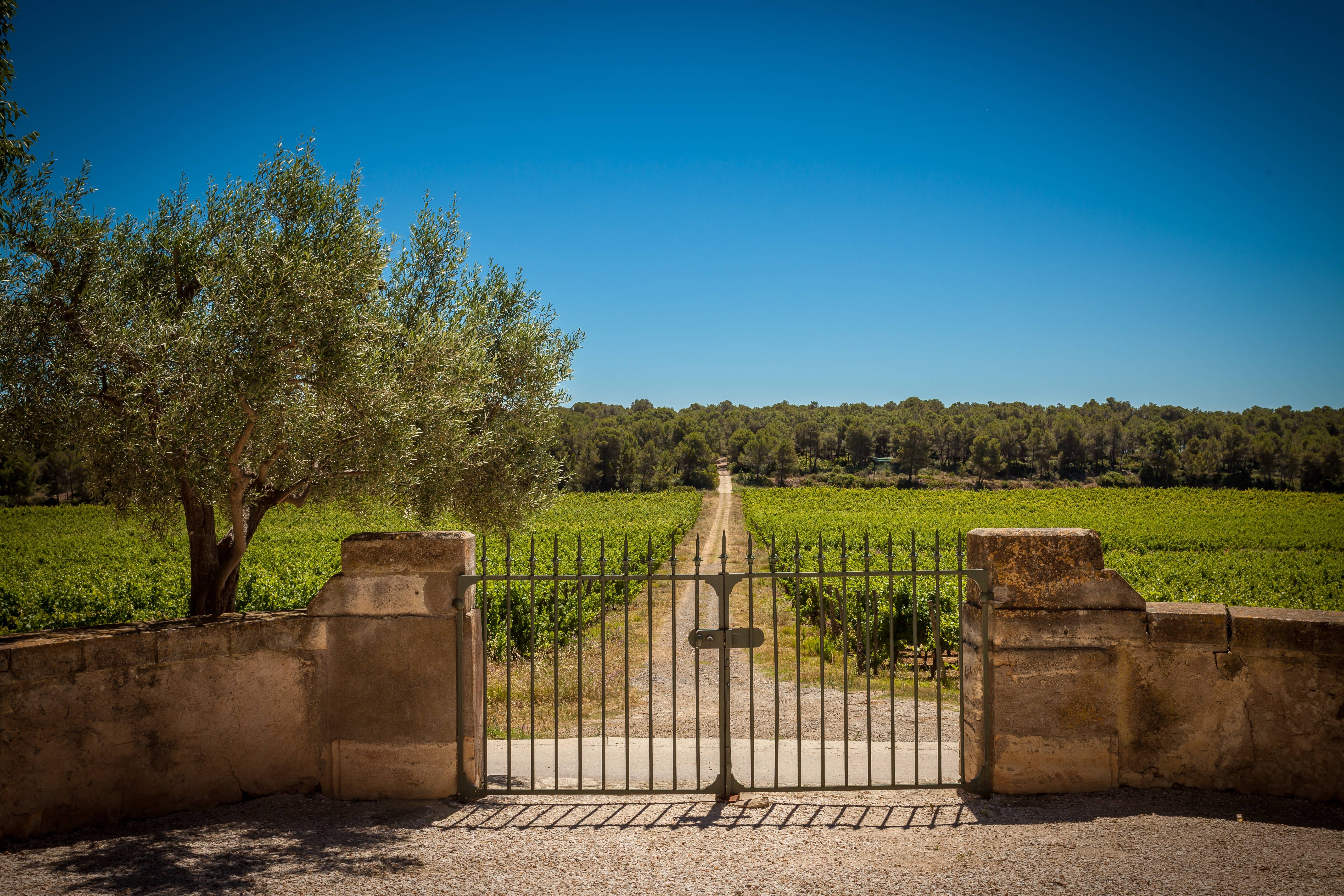 Signature Tour & Tasting – Mas du Novi