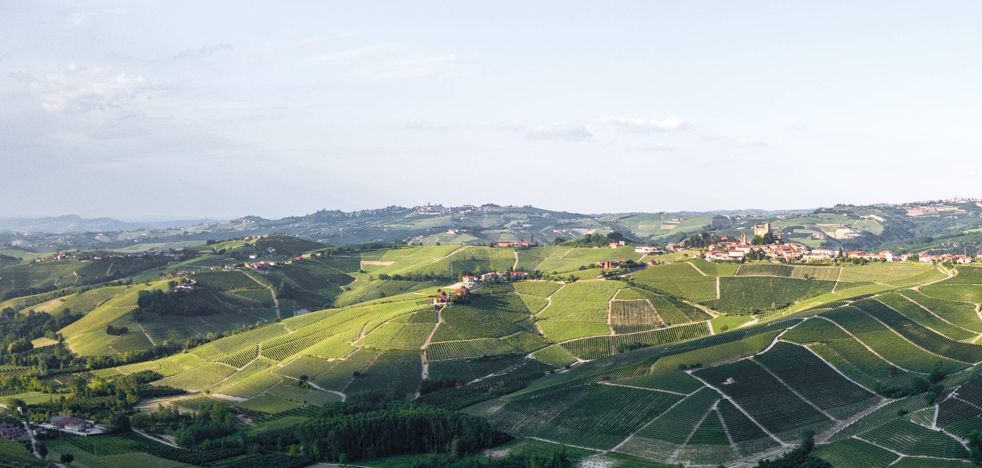 The secrets of the legendary cru VignaRionda