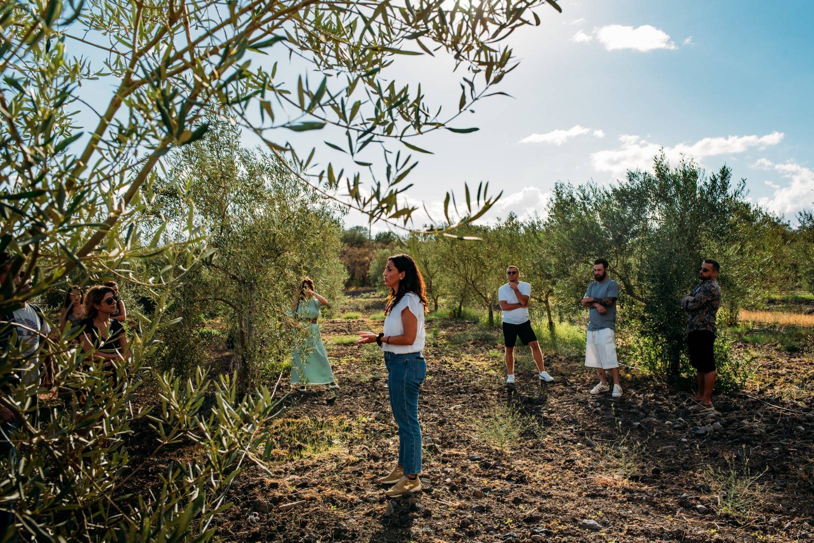 Olive Oil Experience