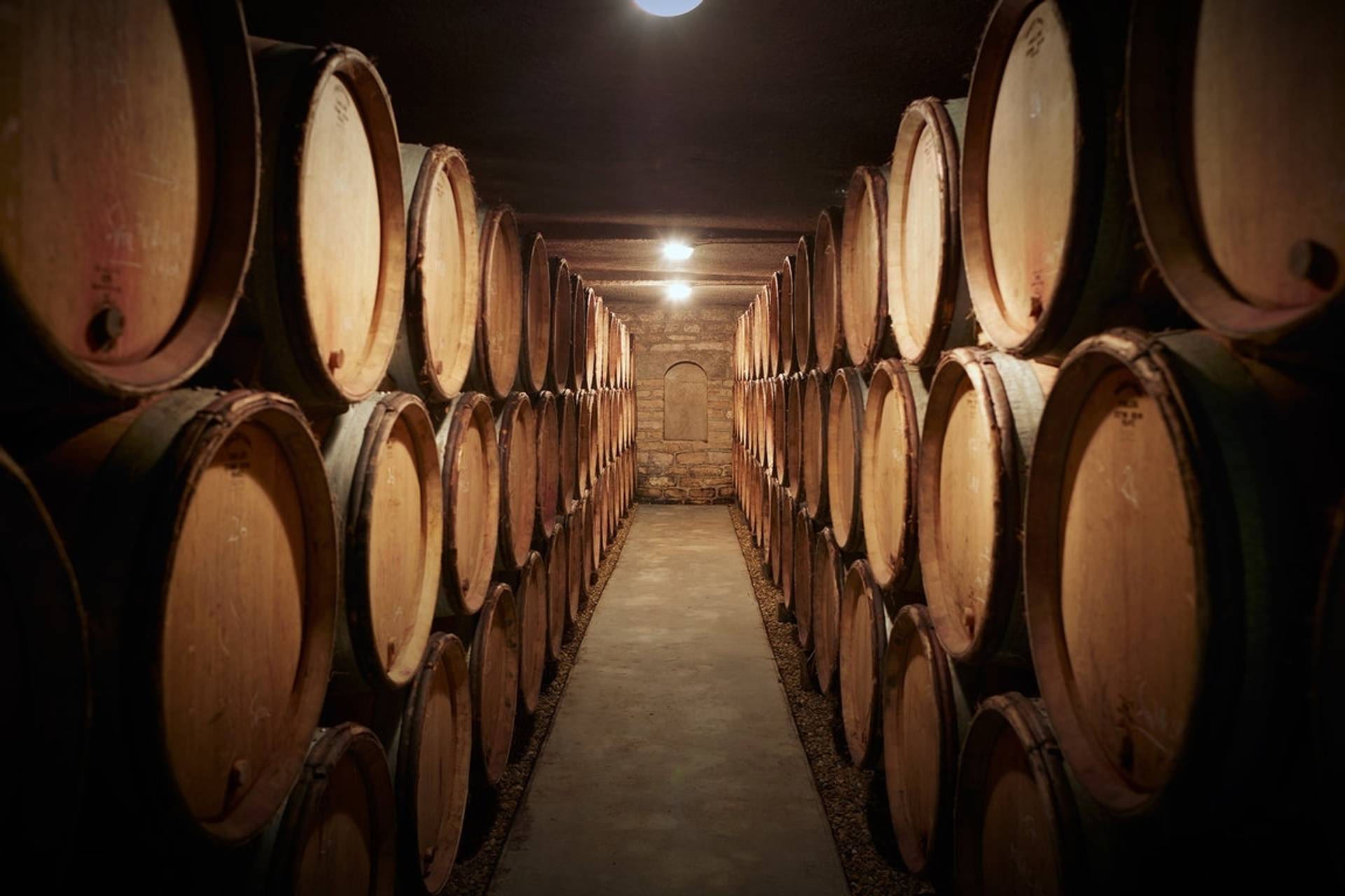 Tour in Côte de Nuits