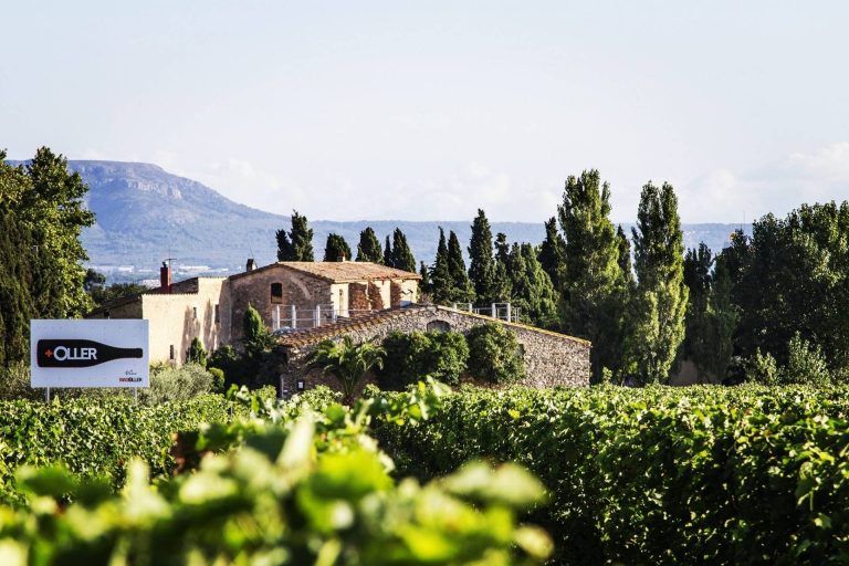 Visit and wine tasting