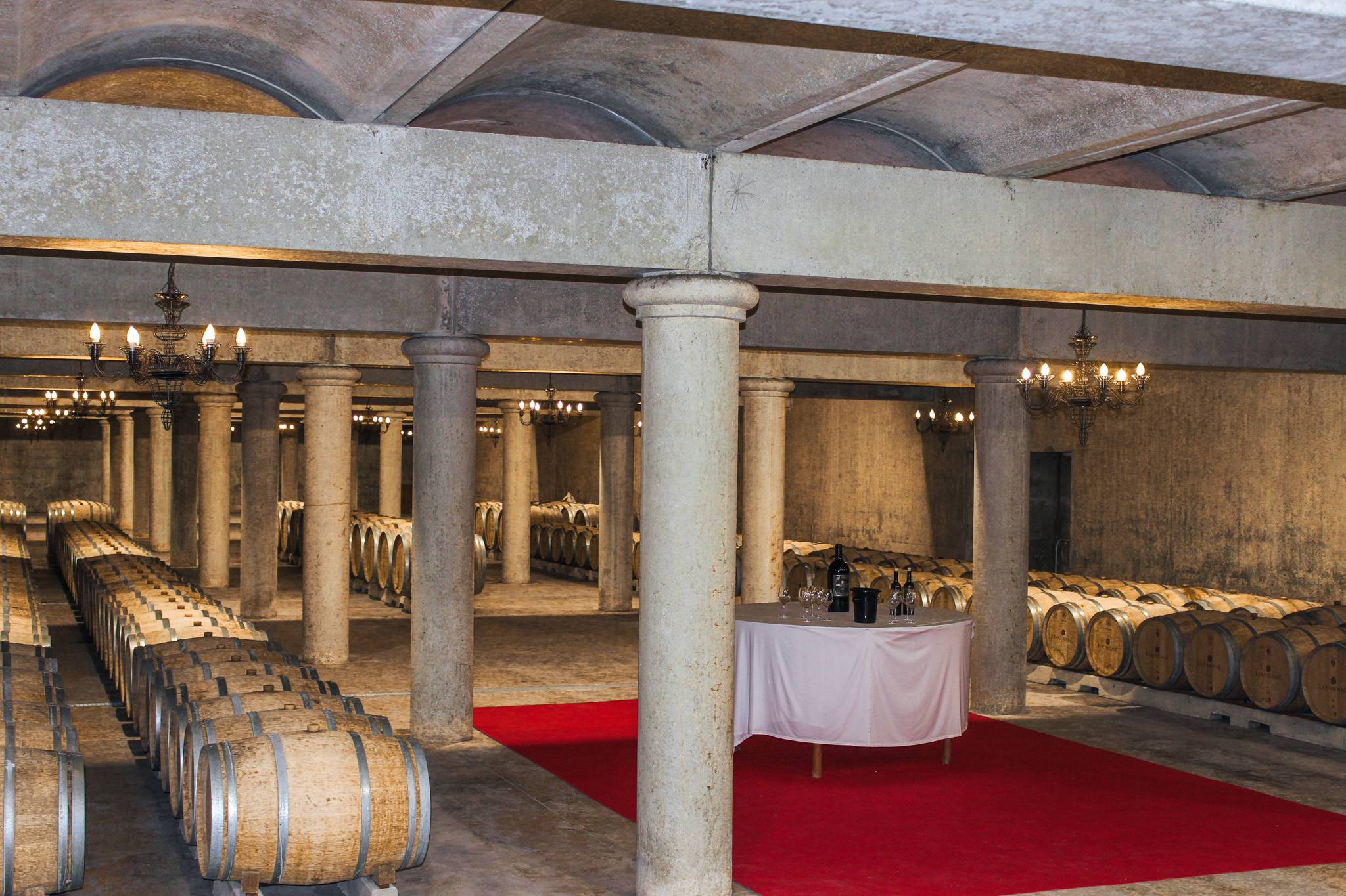 Visit and tasting at Château Loudenne