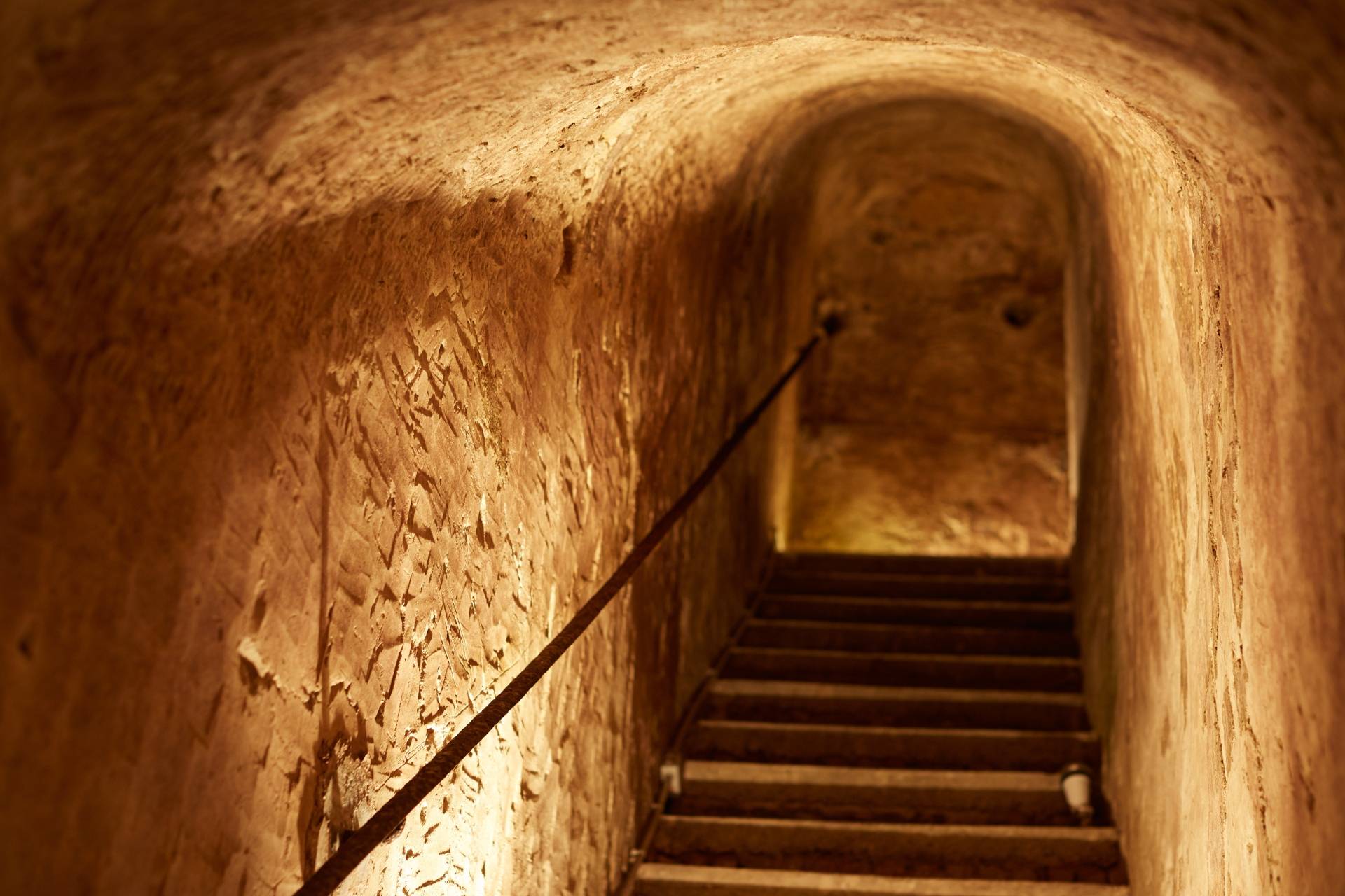 Discovery Leclerc Briant