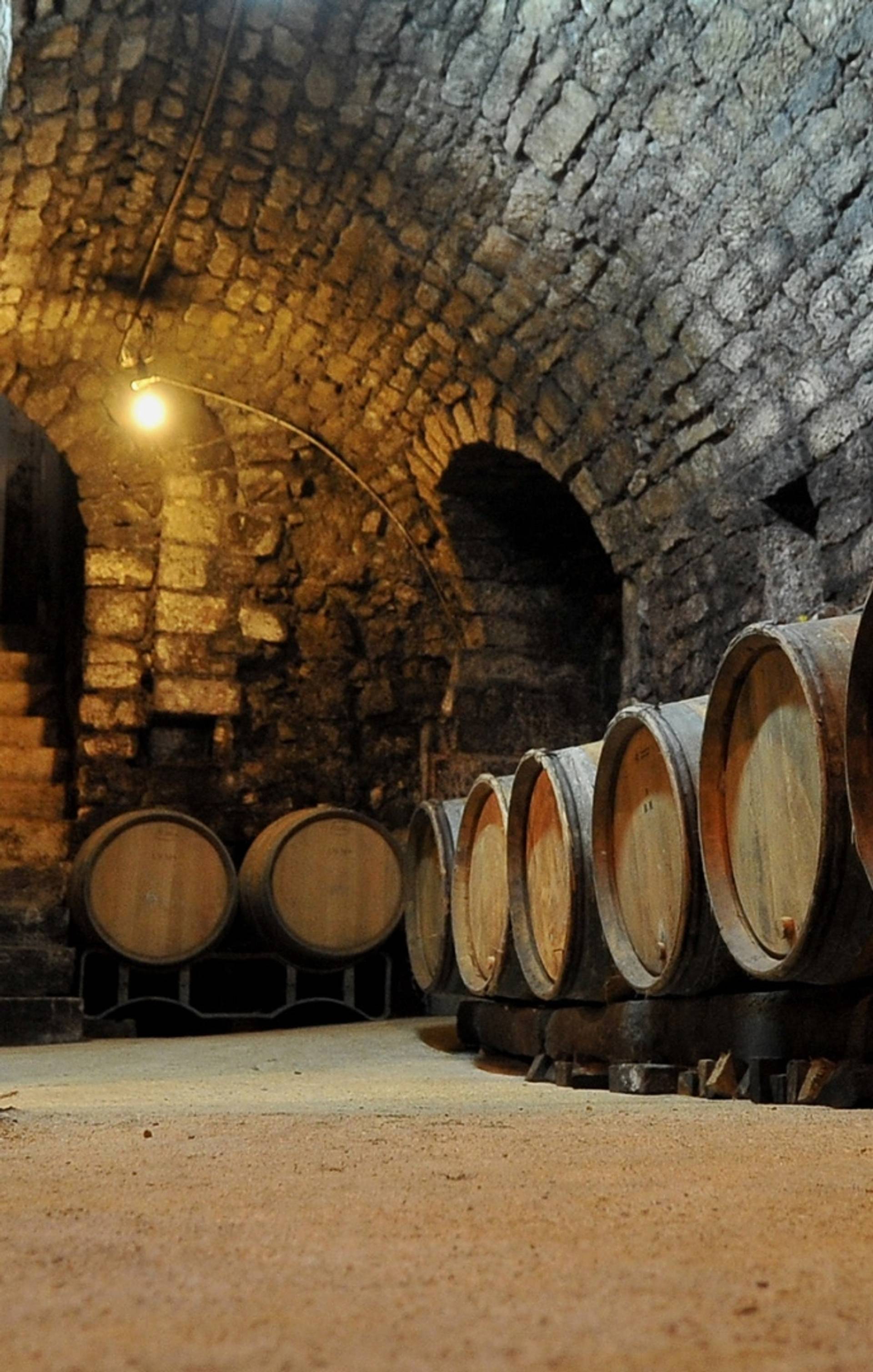 Cellar descent visit