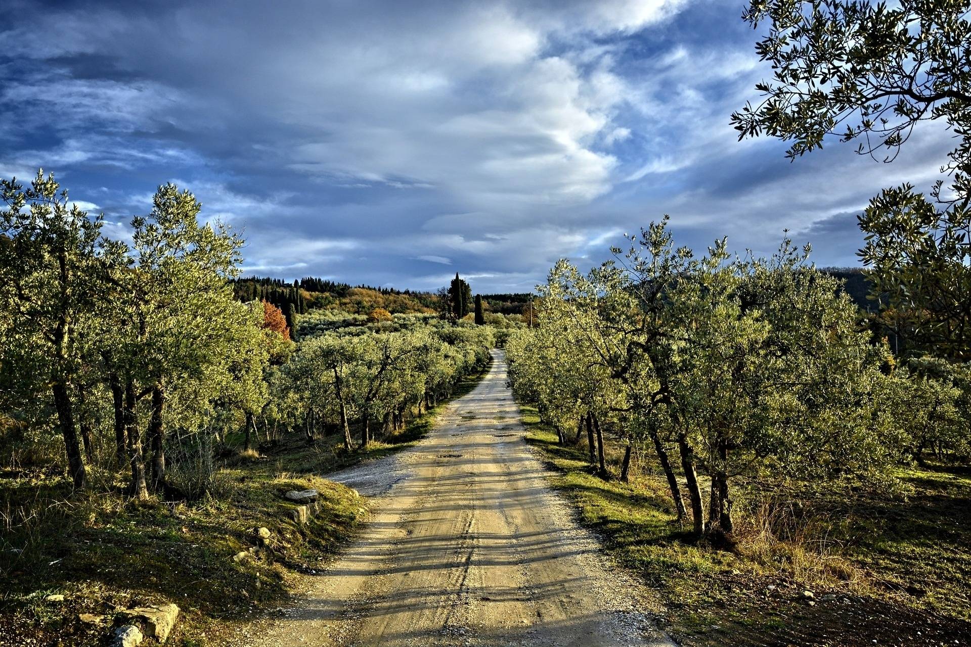 Hiking in Chianti Classico