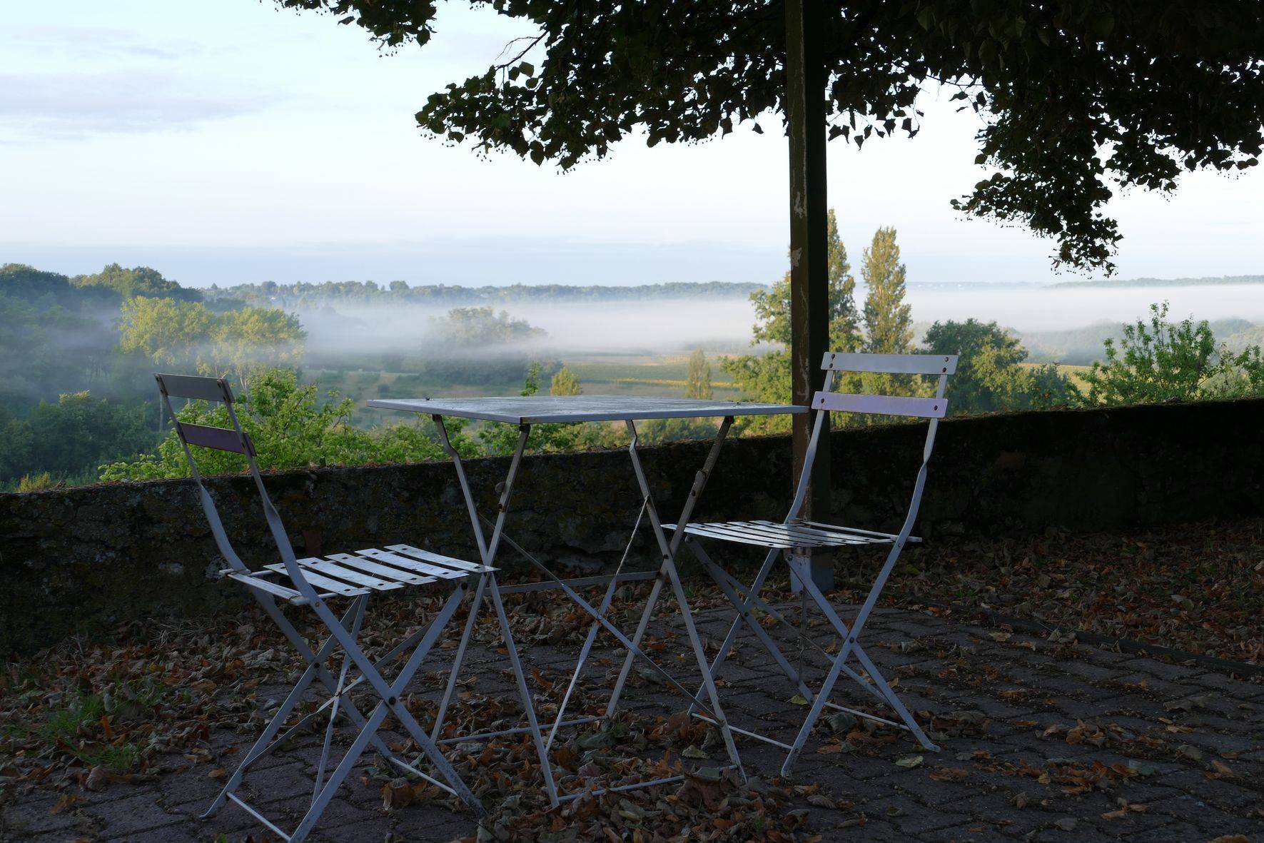 Bio-diversity discovery tasting of aromas