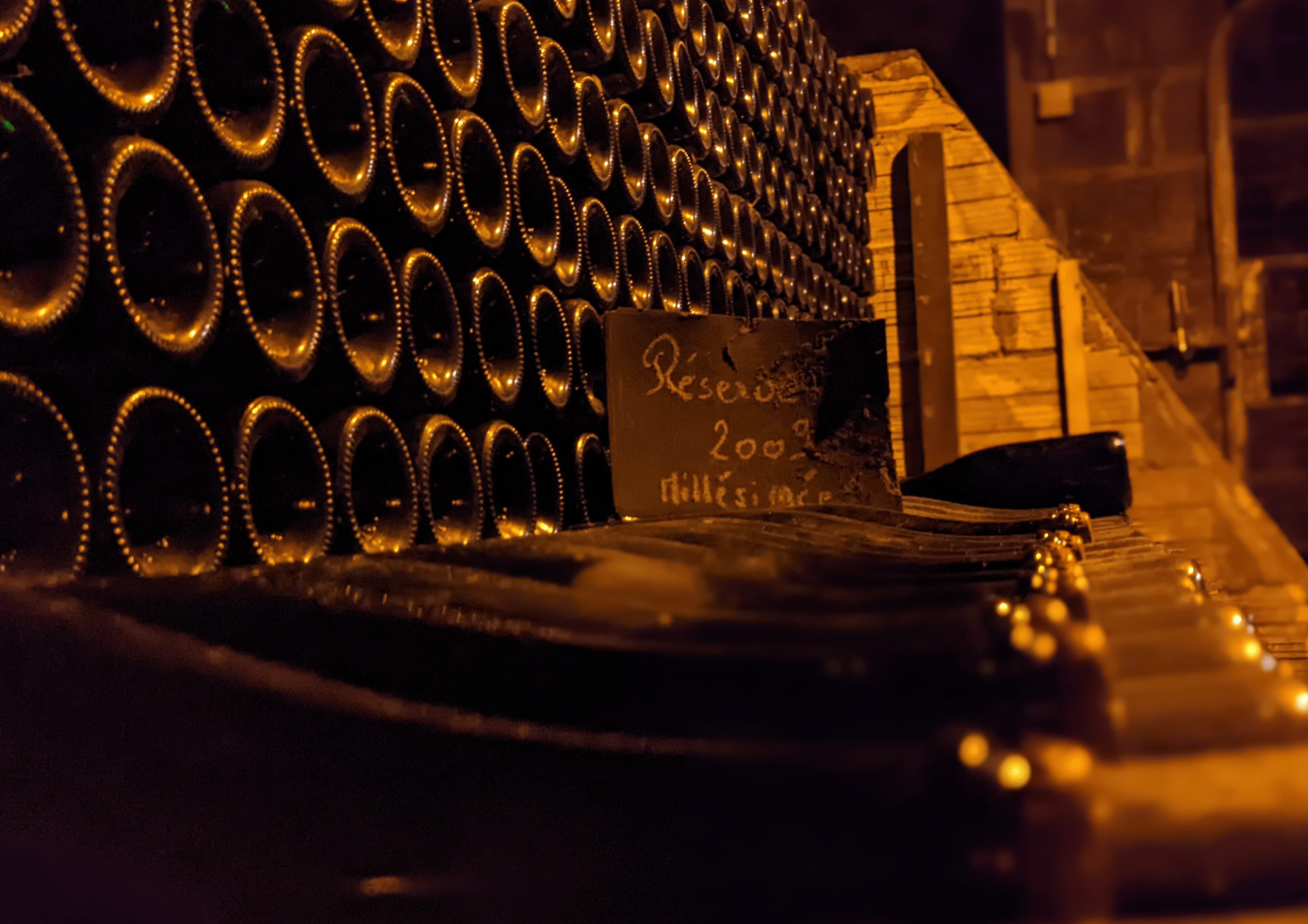 Racine & Terroir – 3 Champagnes