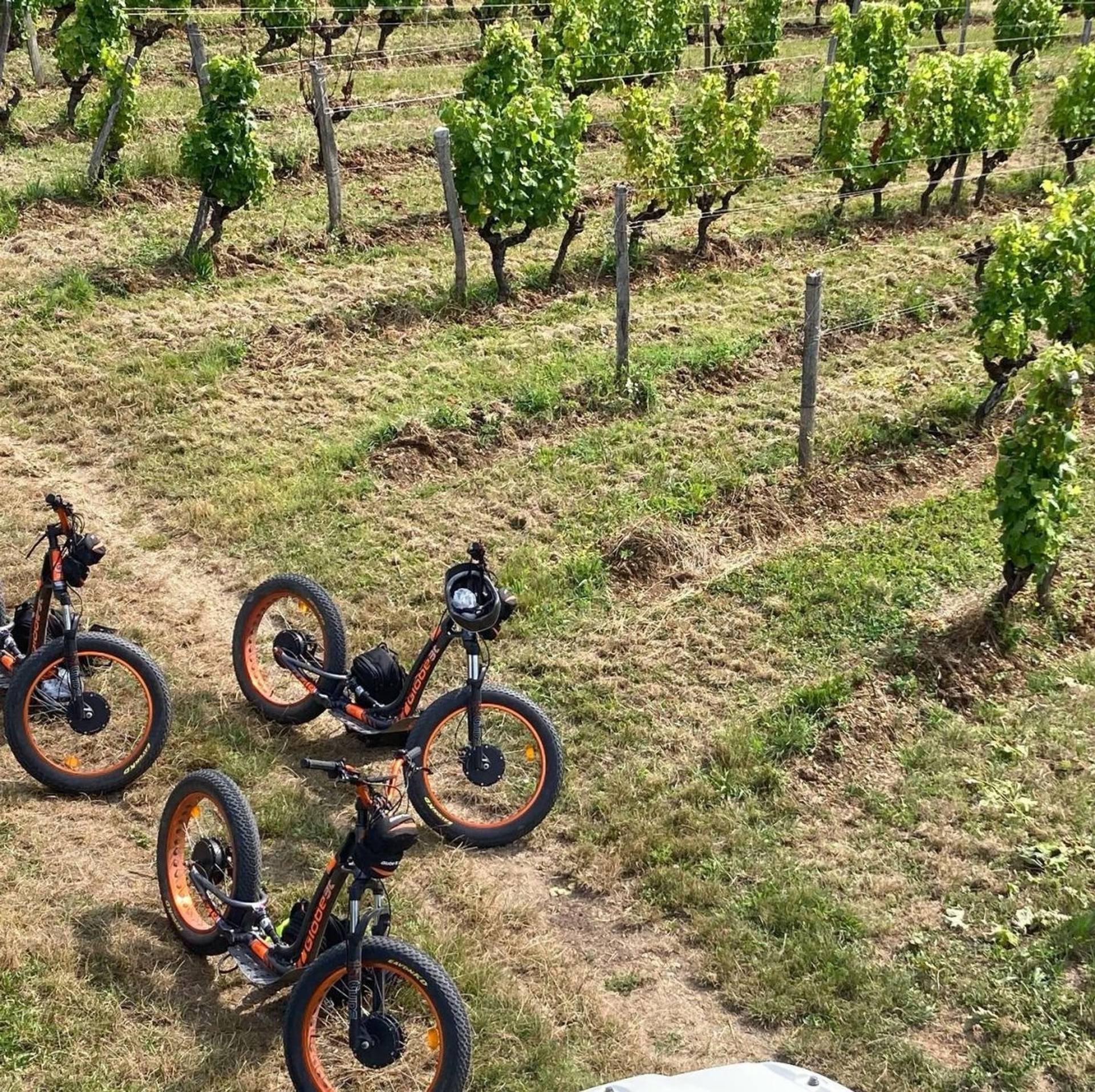 Sauternes on Scooters