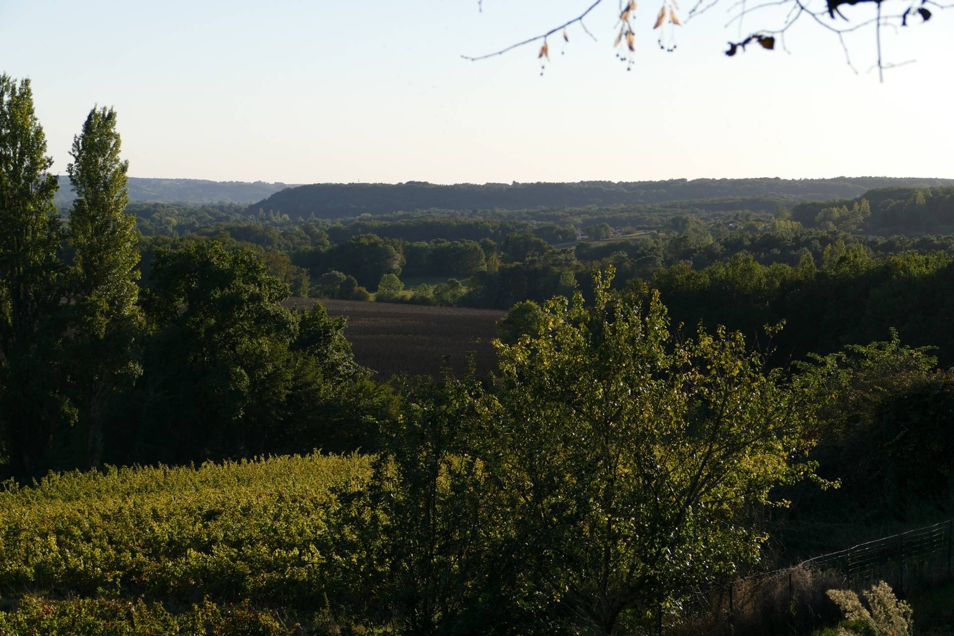 Nature walk and bio-aromatic tasting
