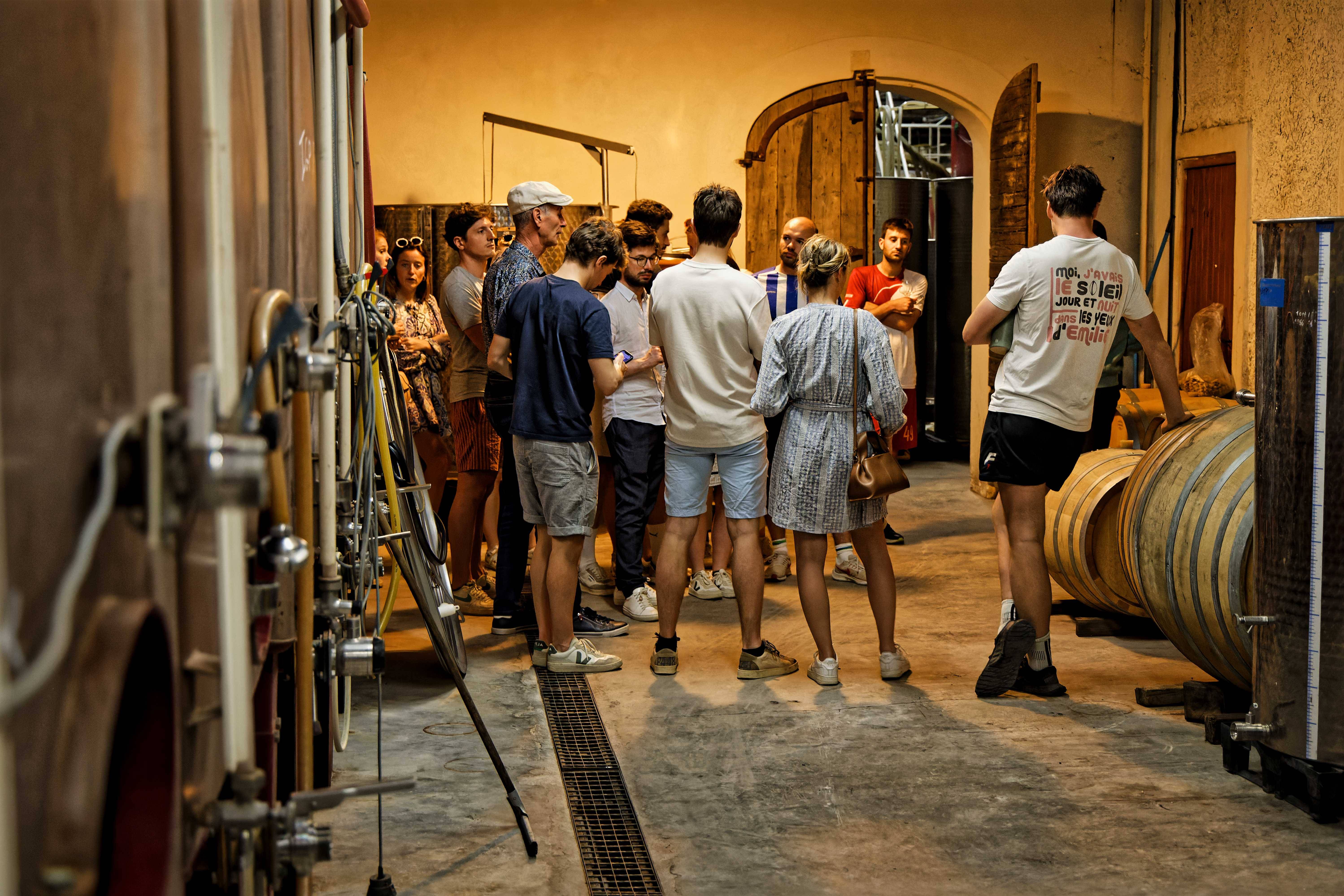 Cellar visit and tasting of 4 wines