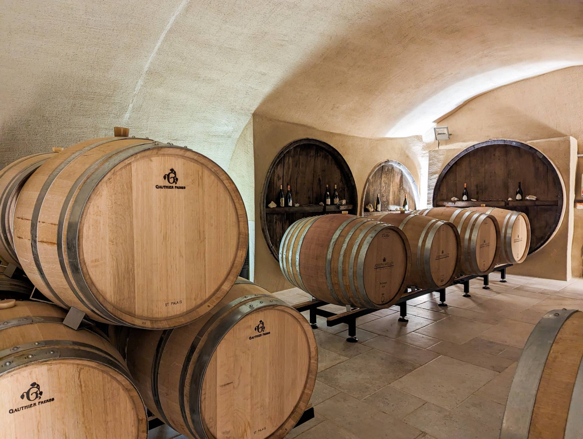 Guided tour of the historic cellar