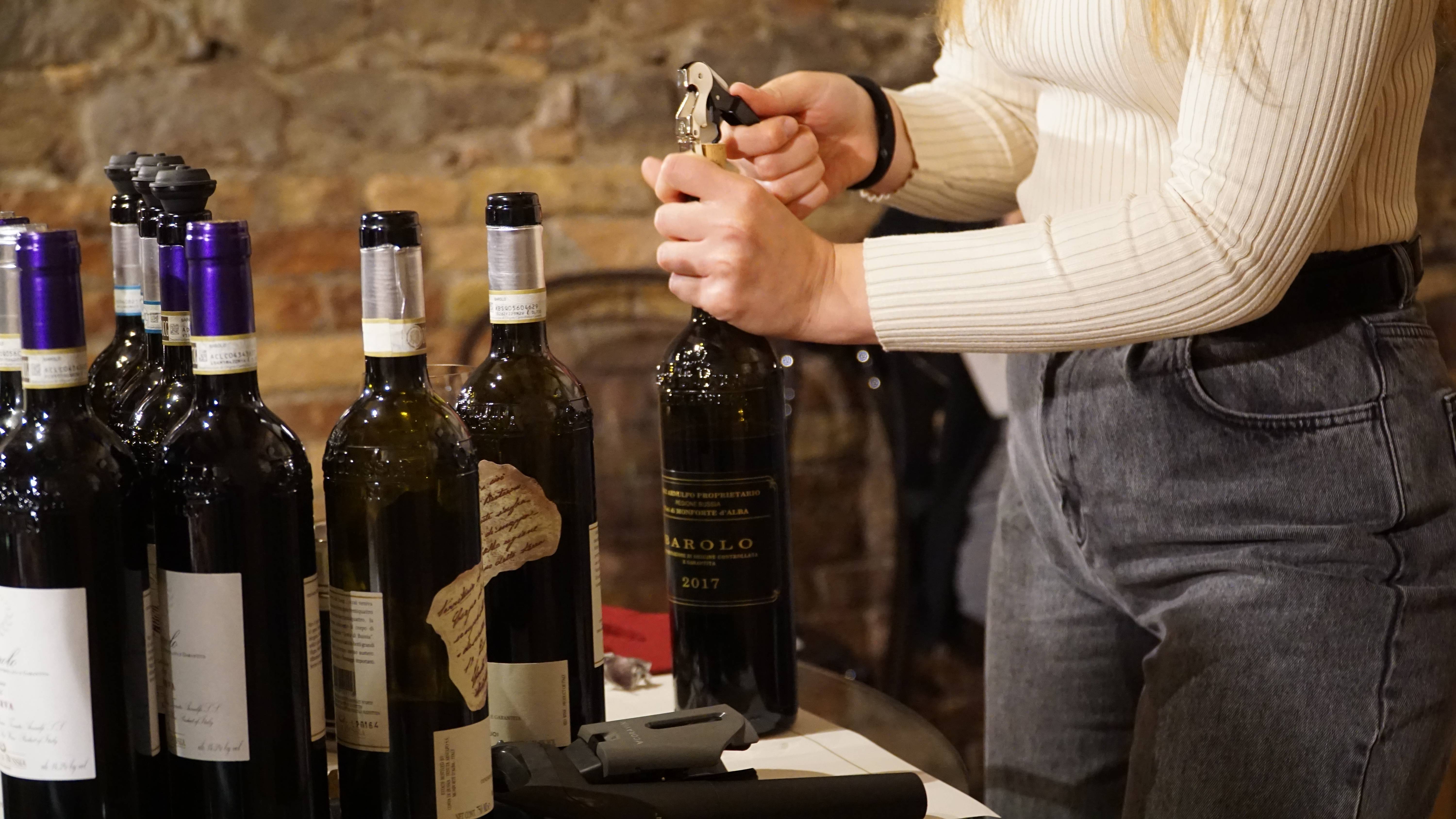 Wine and Cheese Experience