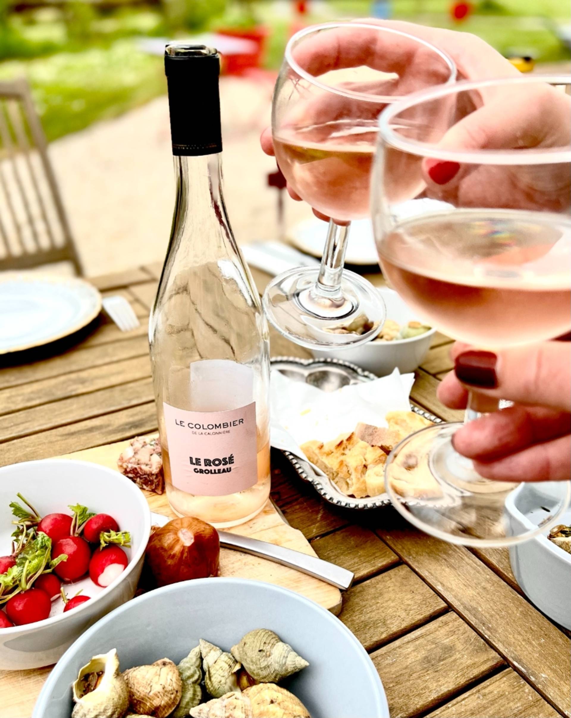 Country meal in the vineyards