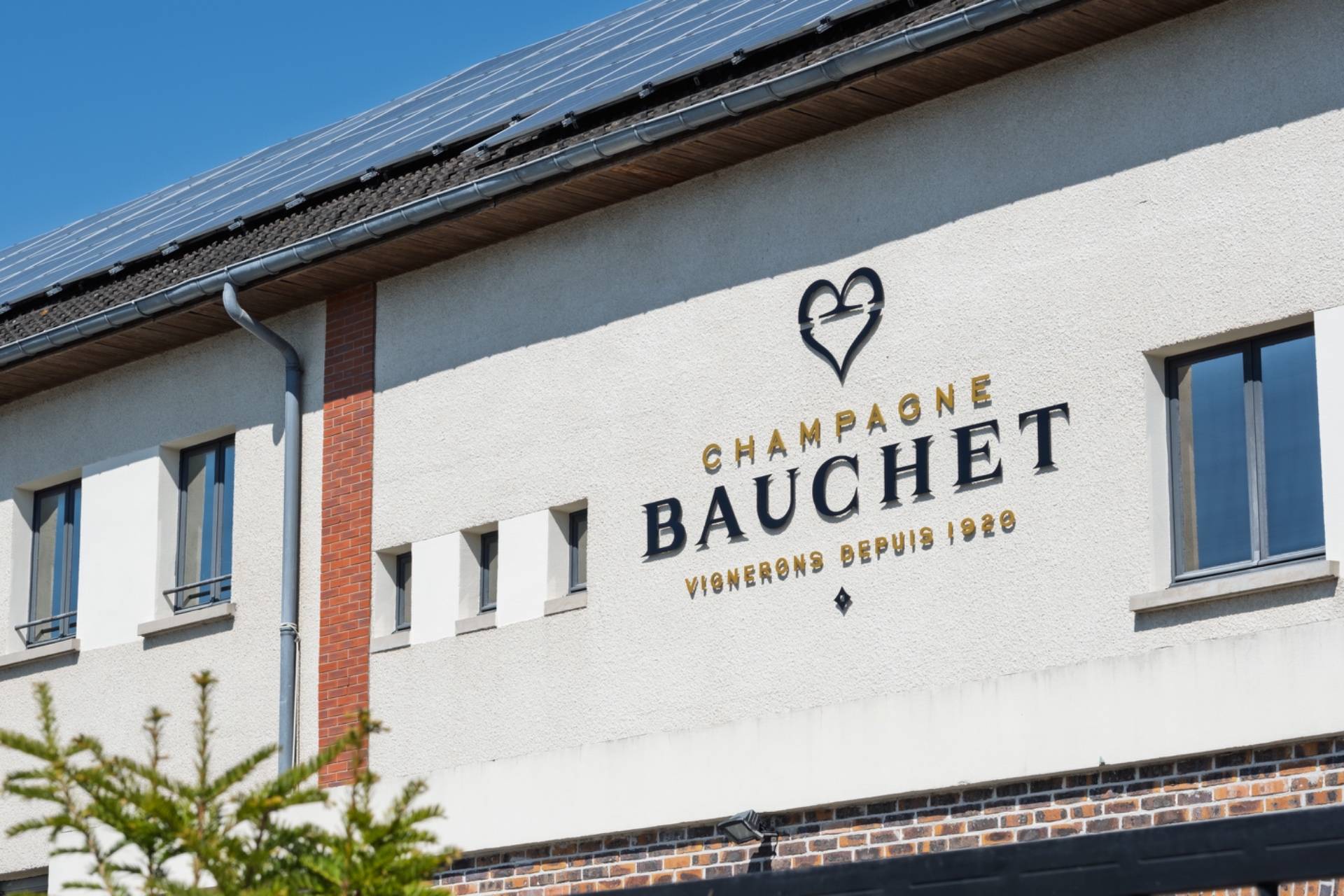 DOMAINE BAUCHET