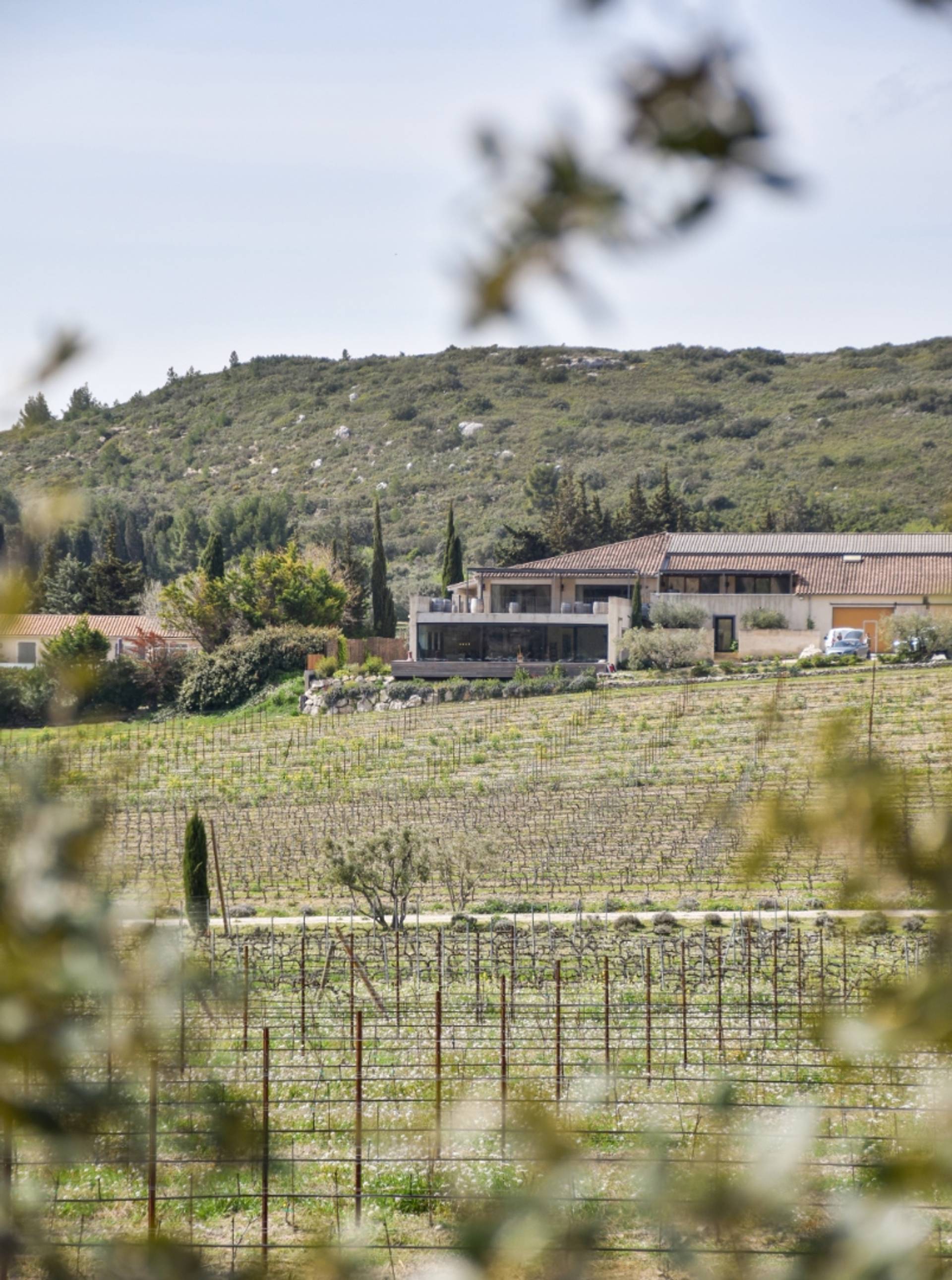 DOMAINE ODDO VALLON DES GLAUGES