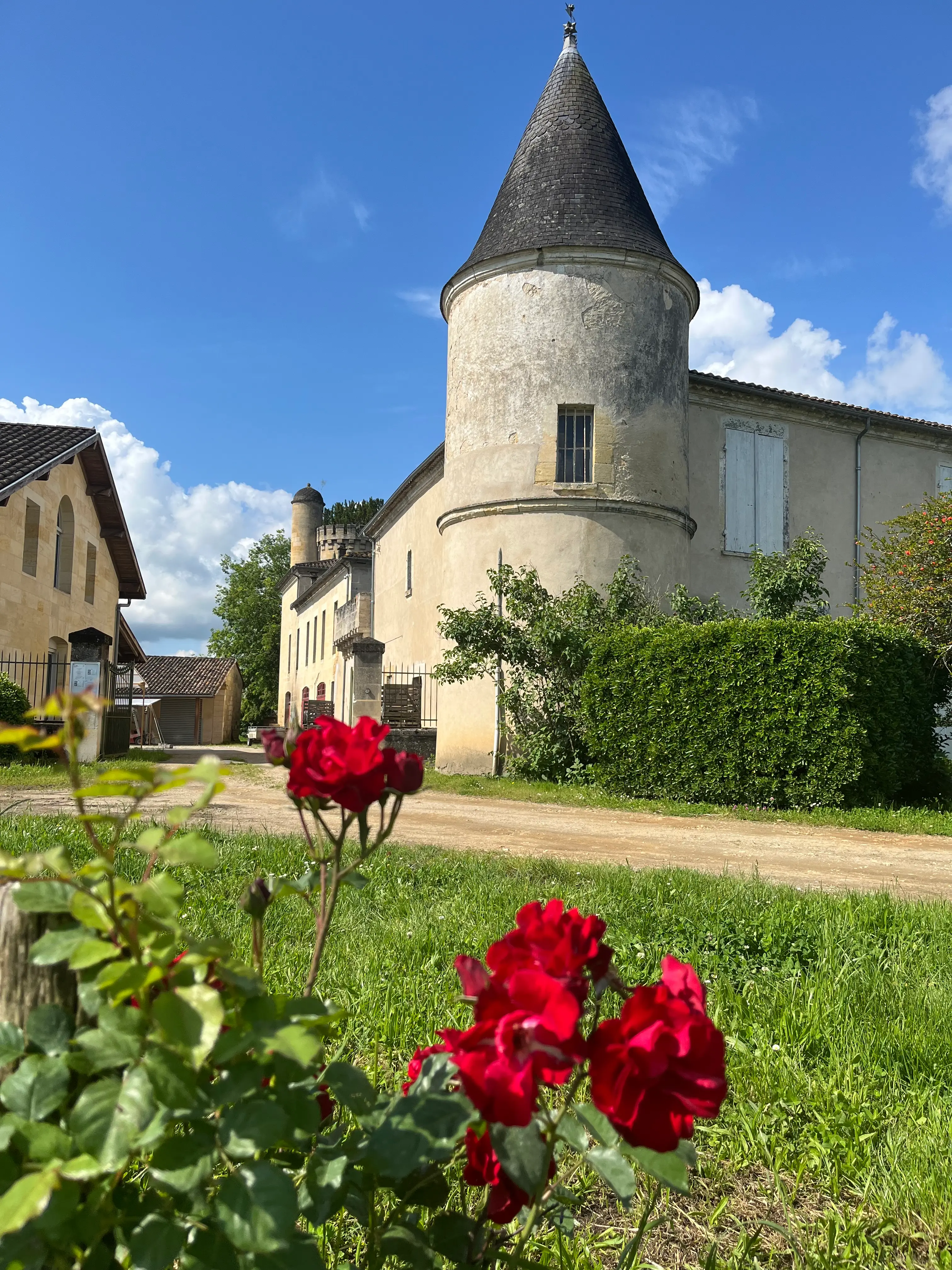 Wine & Chocolate Workshop