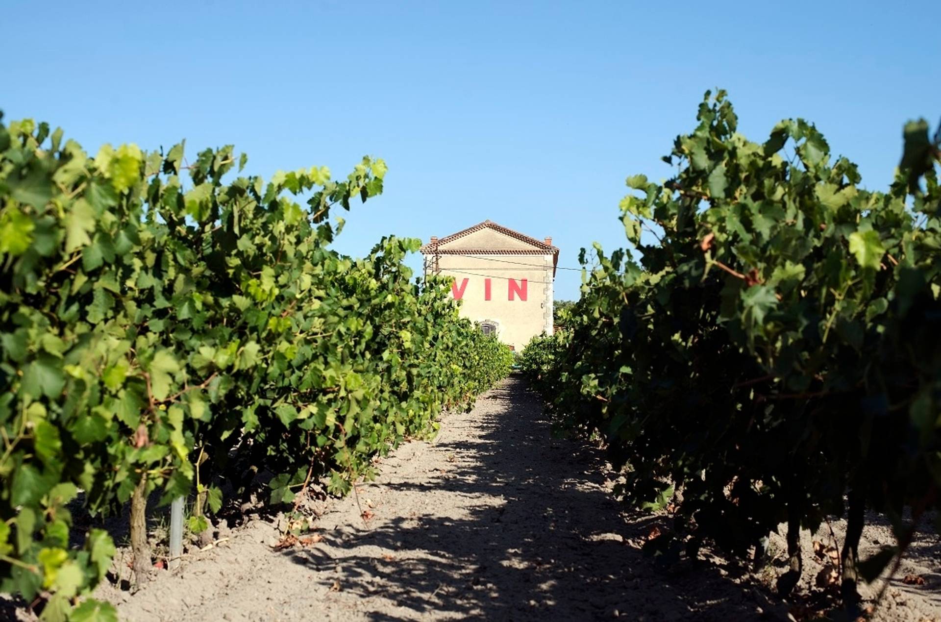 Montcalm’s Gatherings