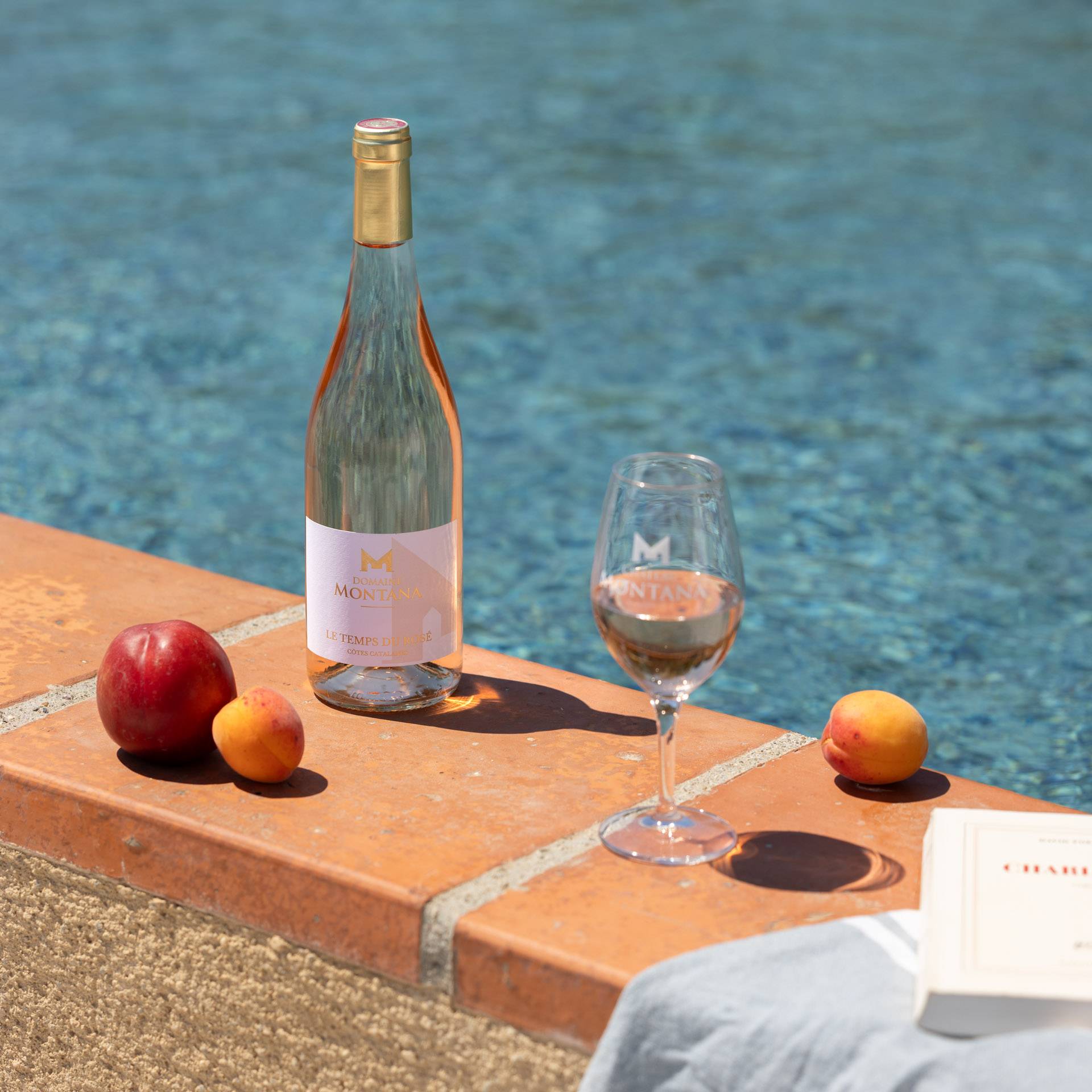 Visit & Tasting at Château Montana