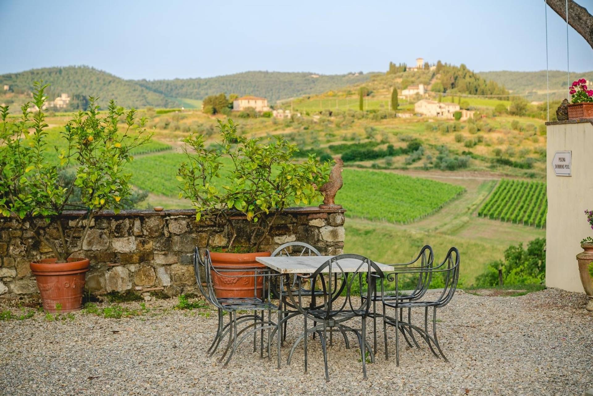 Wine Tasting in Chianti 3 Wines