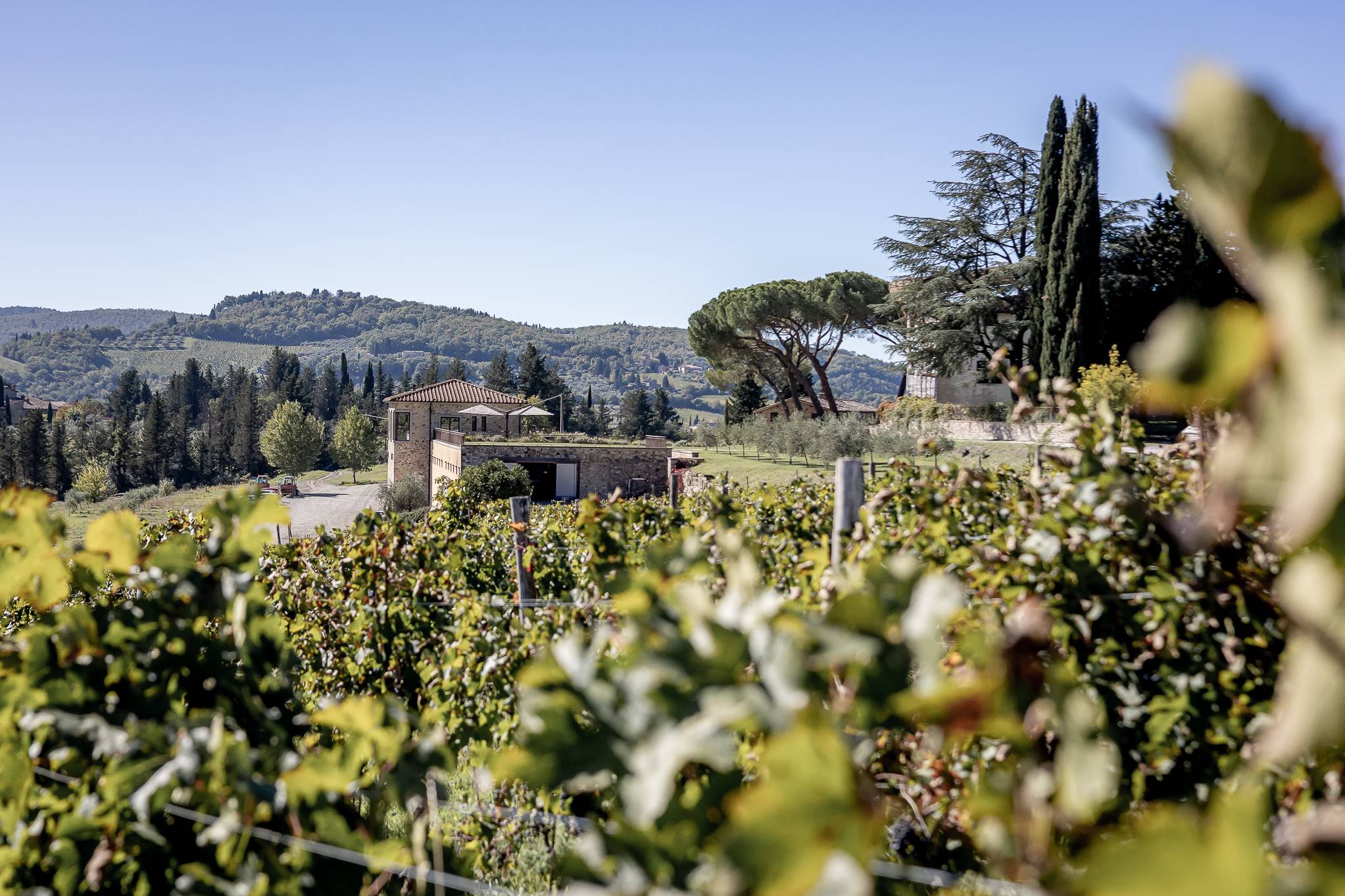 Giorgio Primo Masterclass