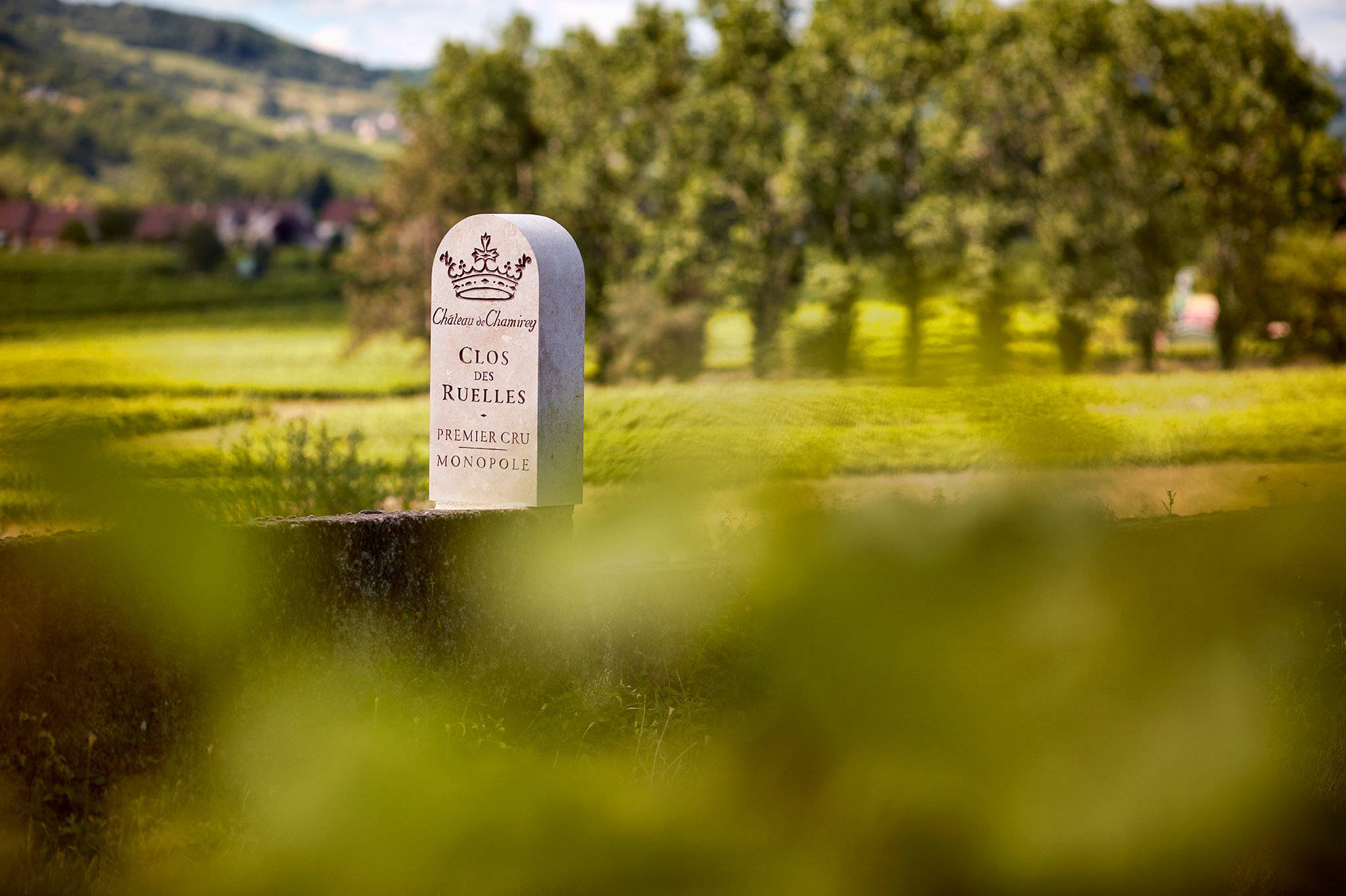 Guardians of the Vineyard