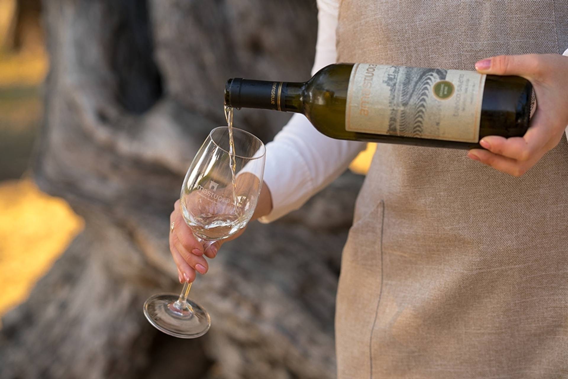 Basic wine tour and tasting