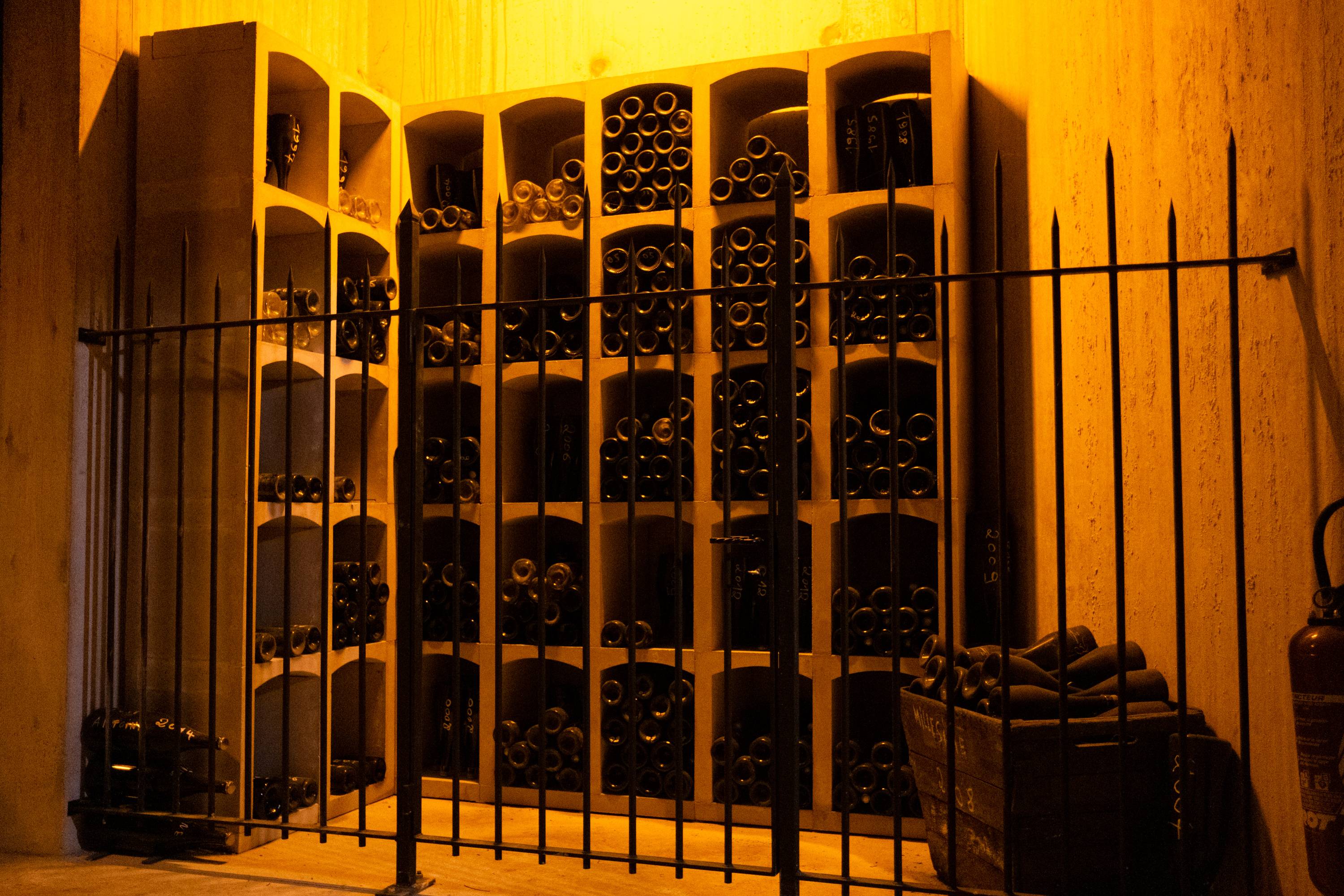 Visit of the cellar and tasting of three champagne