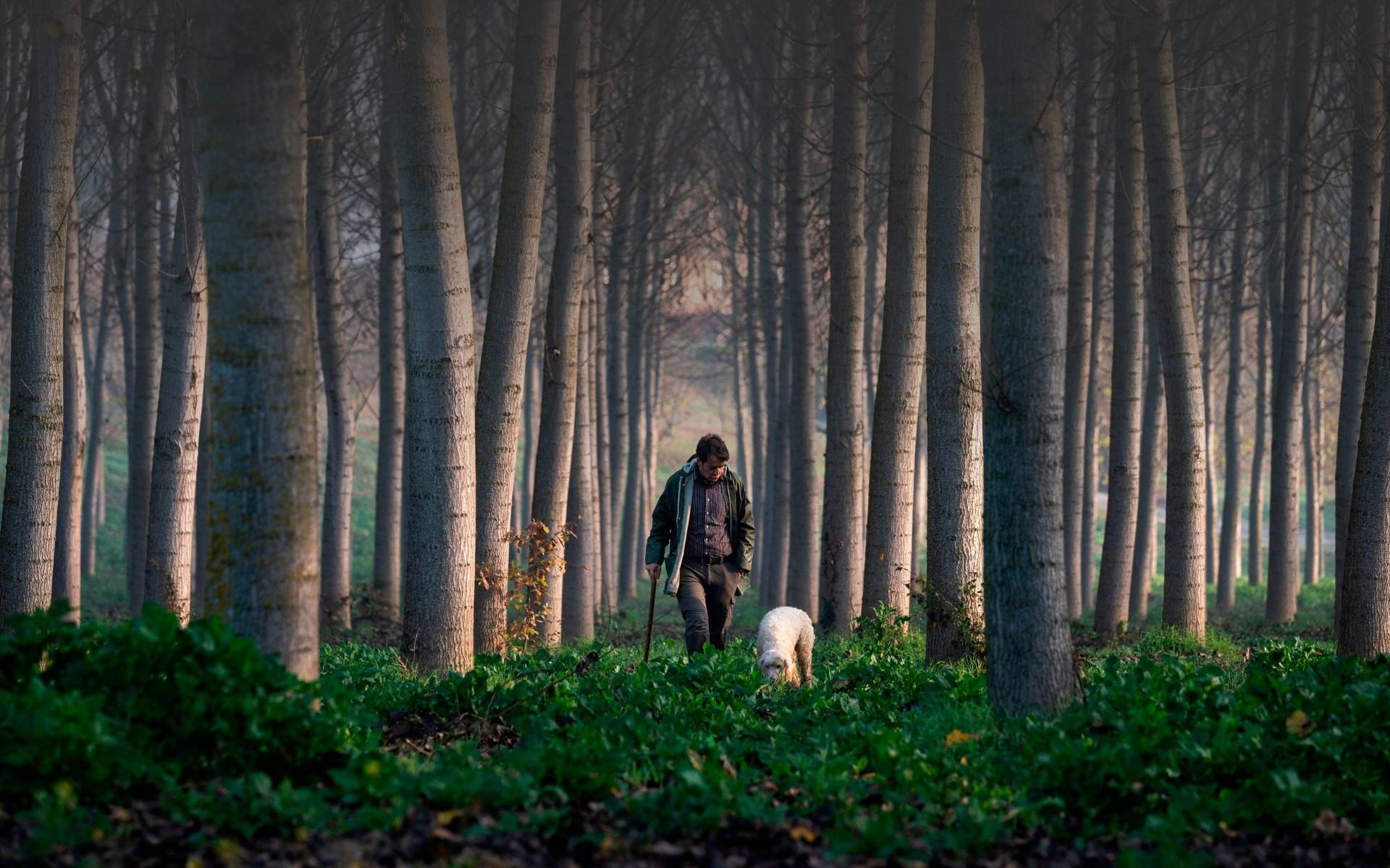 Truffle hunting with lunch