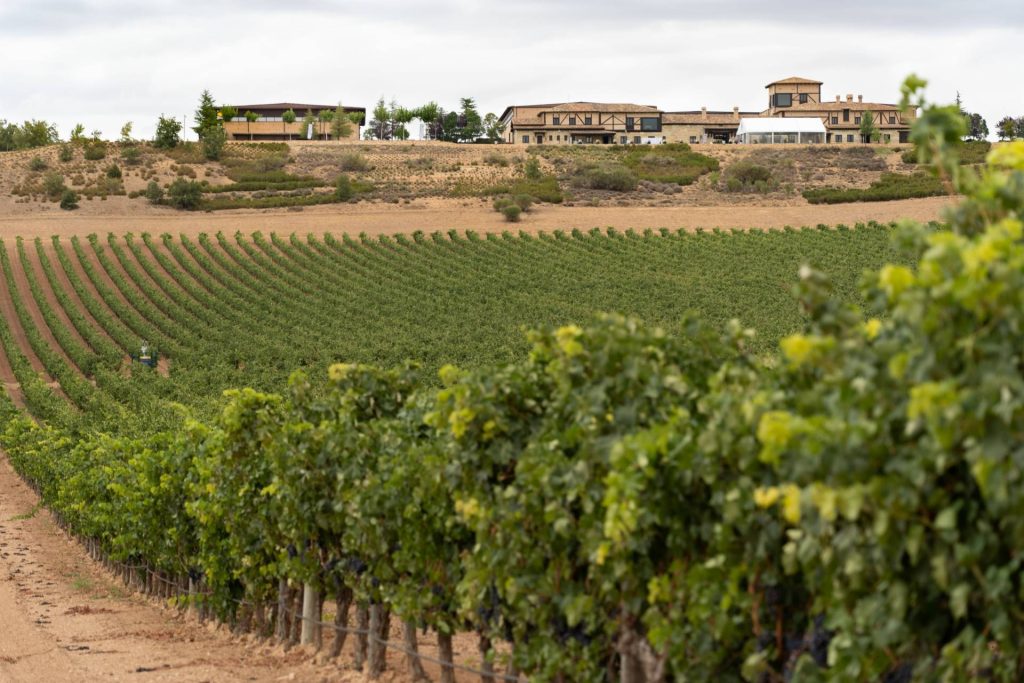 Tradition Experience