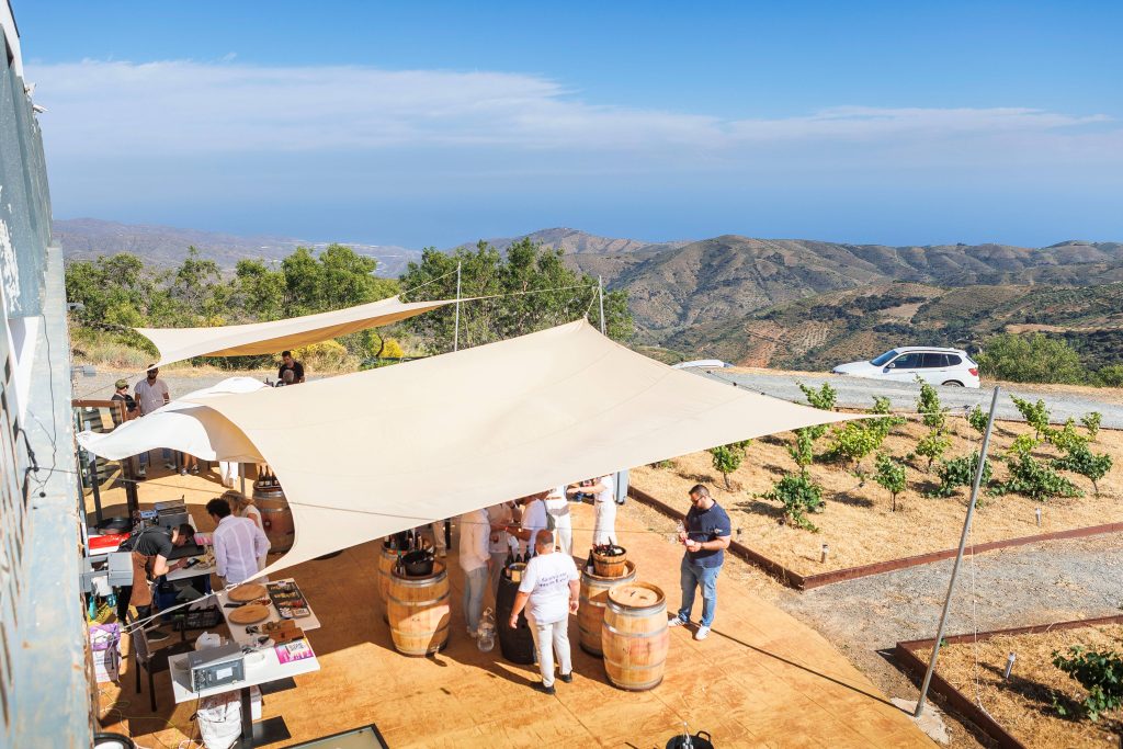 Day Tasting Experience