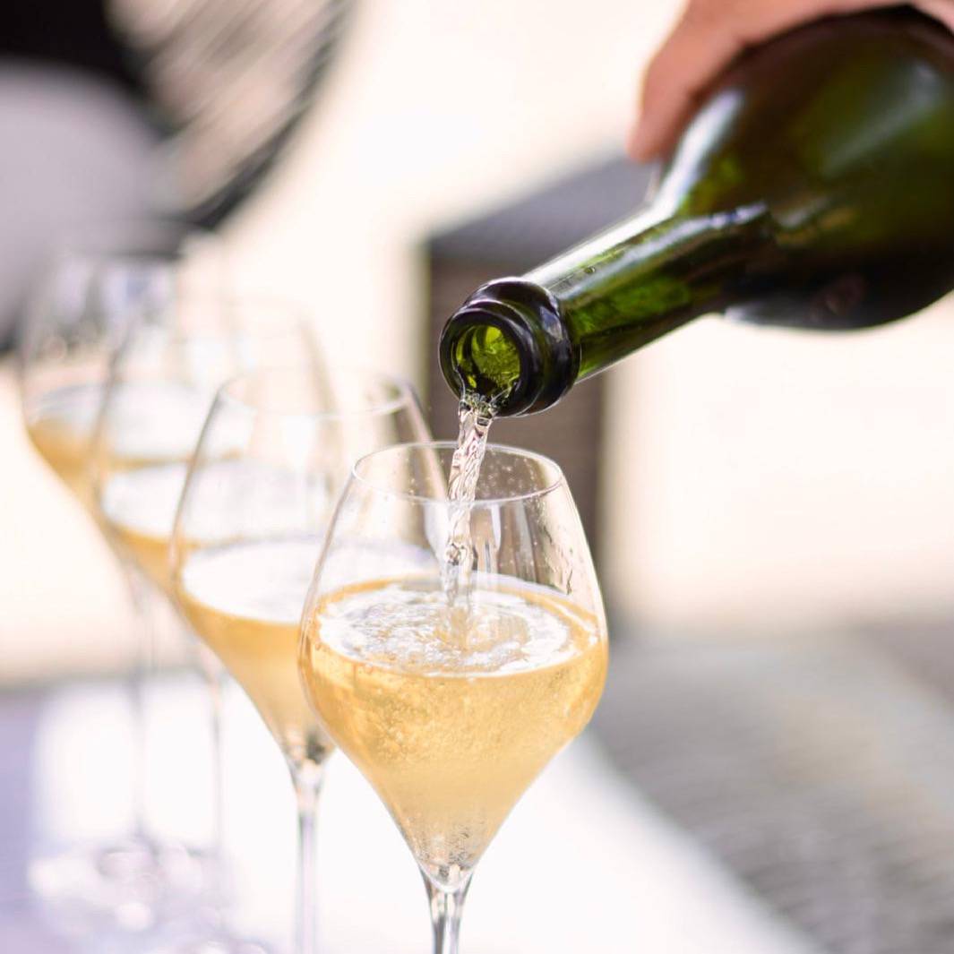 Tasting of 3 Champagnes