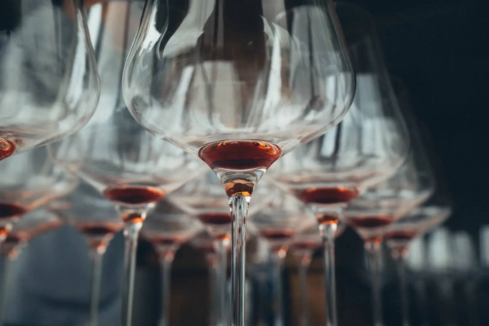 Tasting of 3 wines in the historic center of Neive