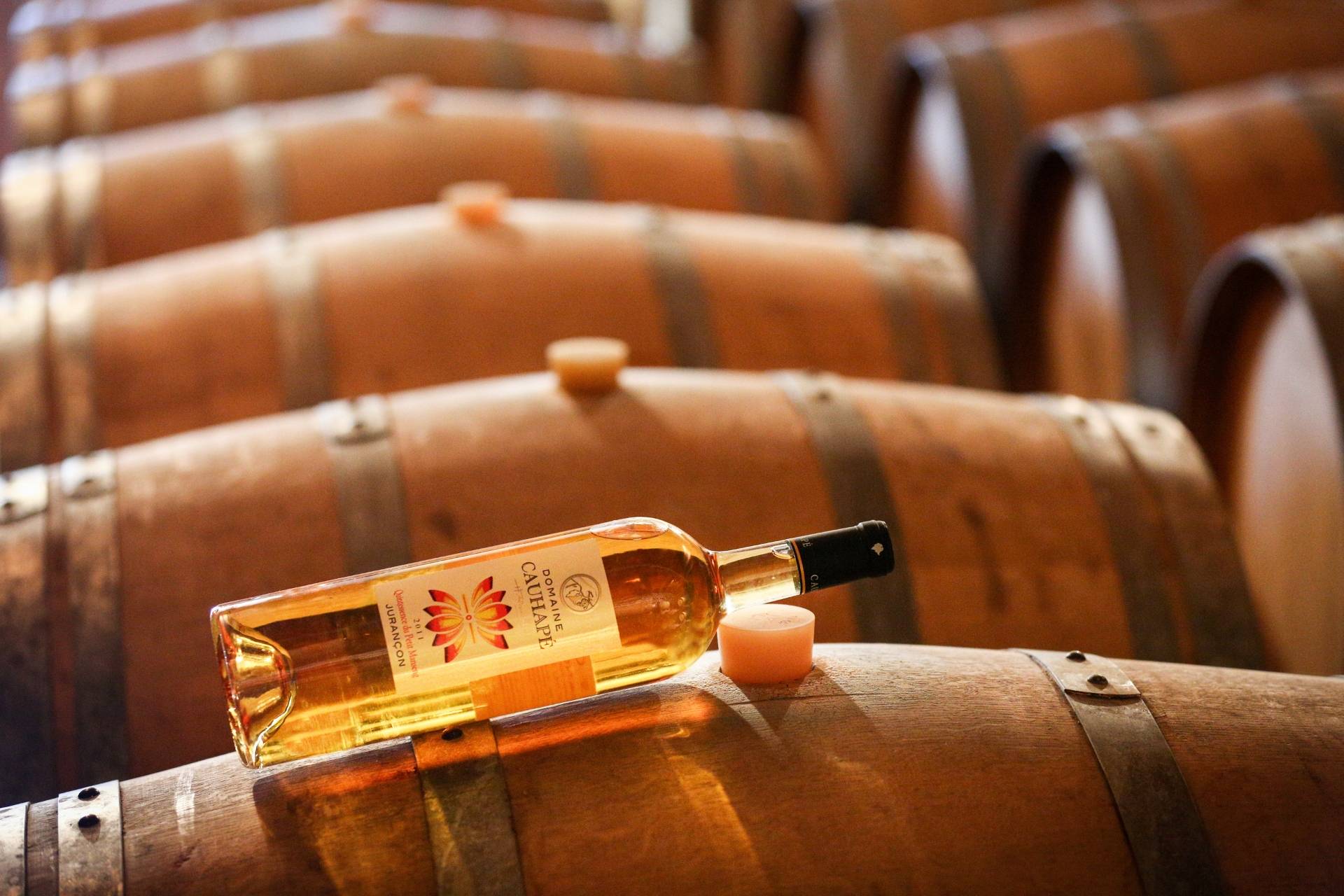 Tasting: Discovery of the estate’s wines