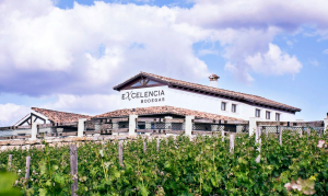 BODEGAS EXCELENCIA