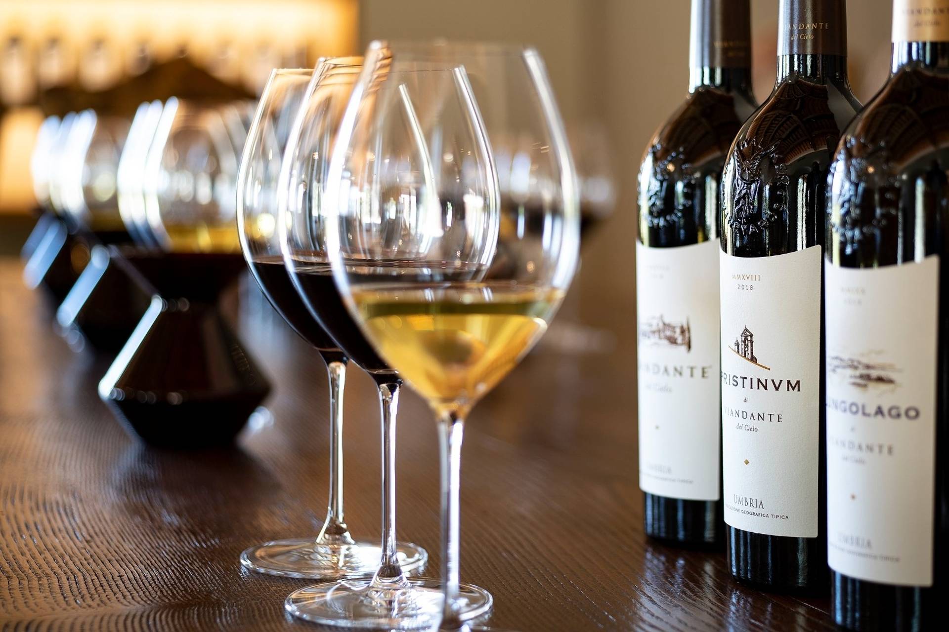 The Viandante Del Cielo experience