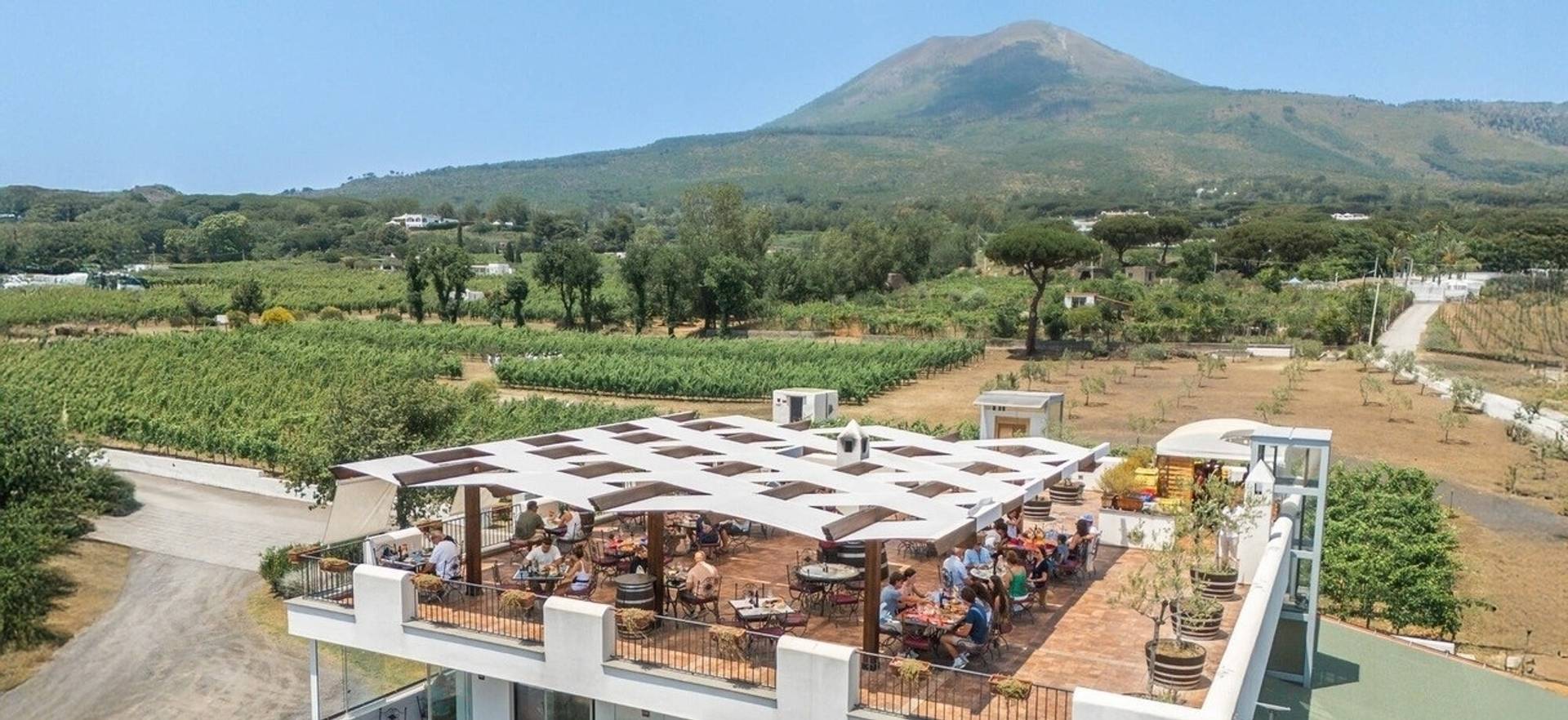 CANTINA DEL VESUVIO WINERY