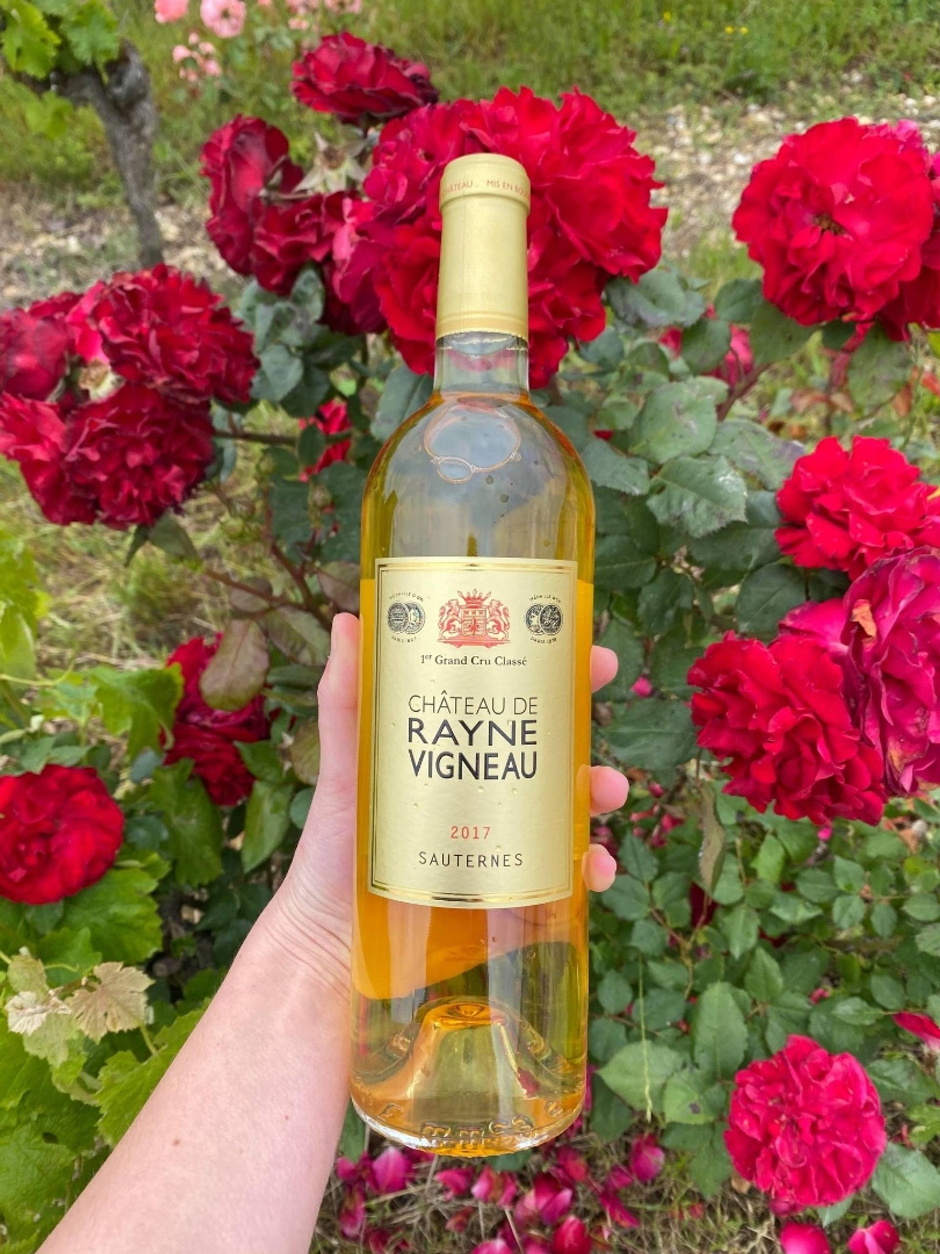 The Secrets of Rayne Vigneau – VIP