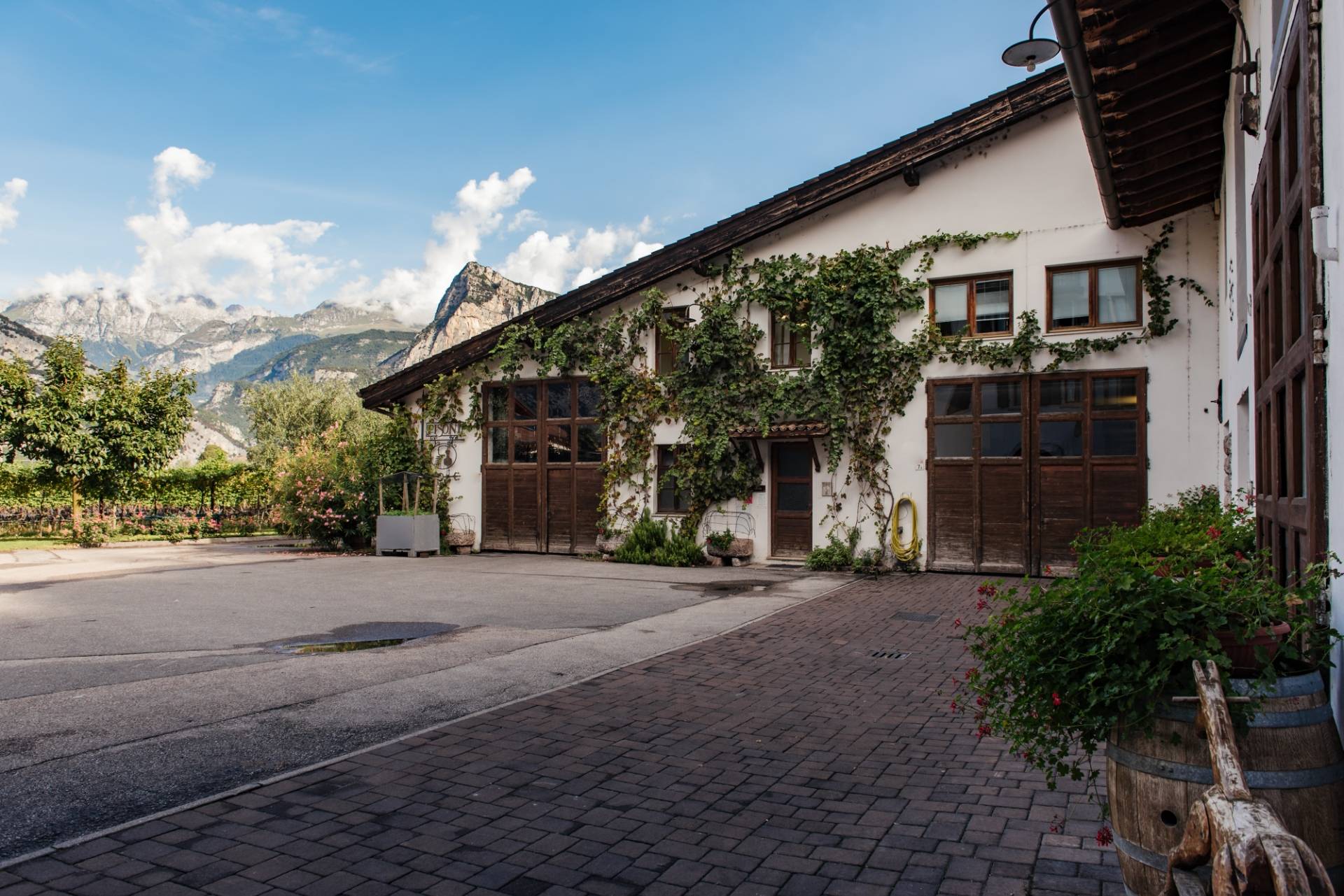 AZIENDA VITIVINICOLA E DISTILLERIA PISONI