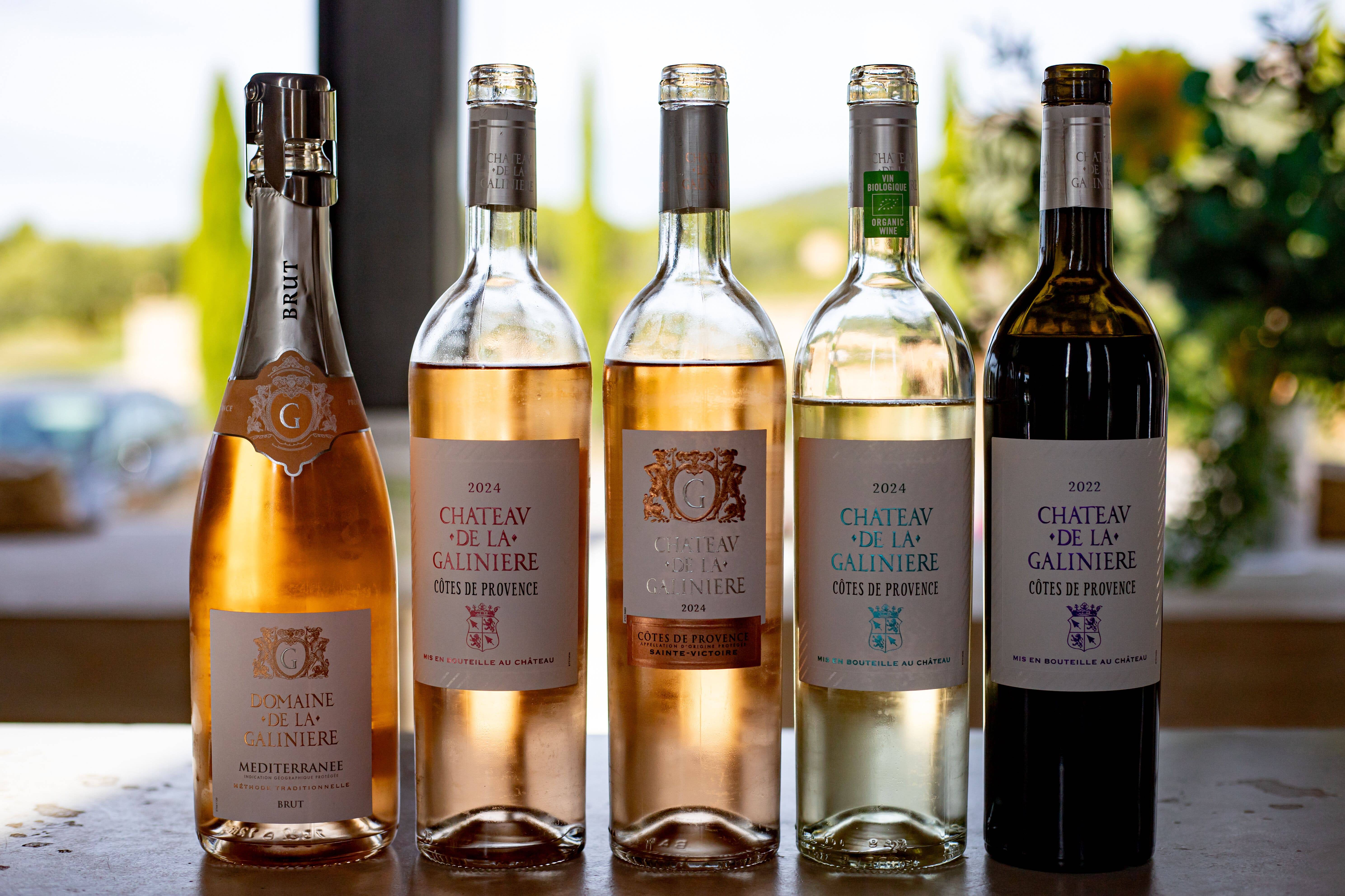 Introduction to wine tasting