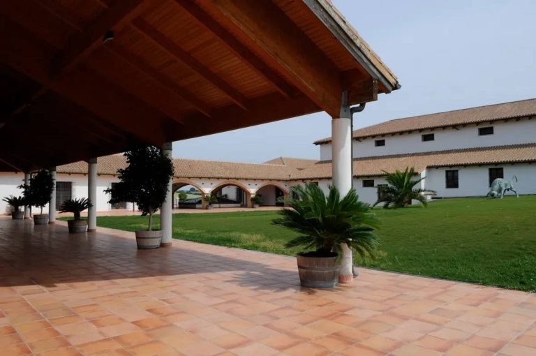 Visit with pairing (Saturdays)