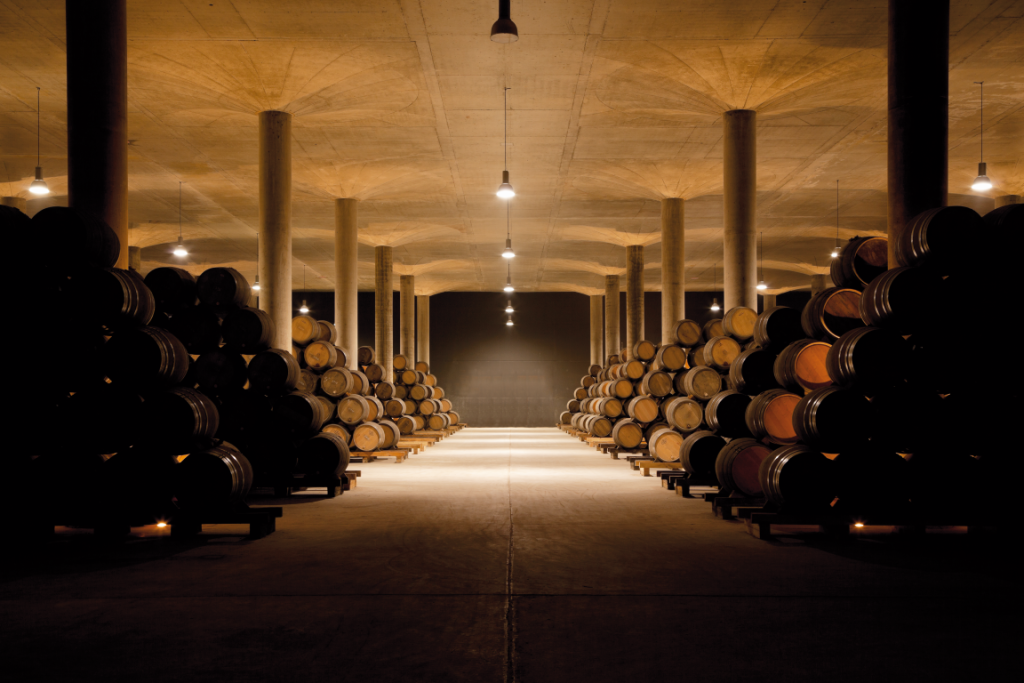 Martínez Lacuesta Visit: Culture, Wines, and Vermouths