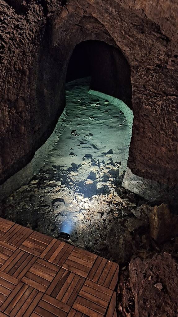 Guided tour of the historic winery and tasting