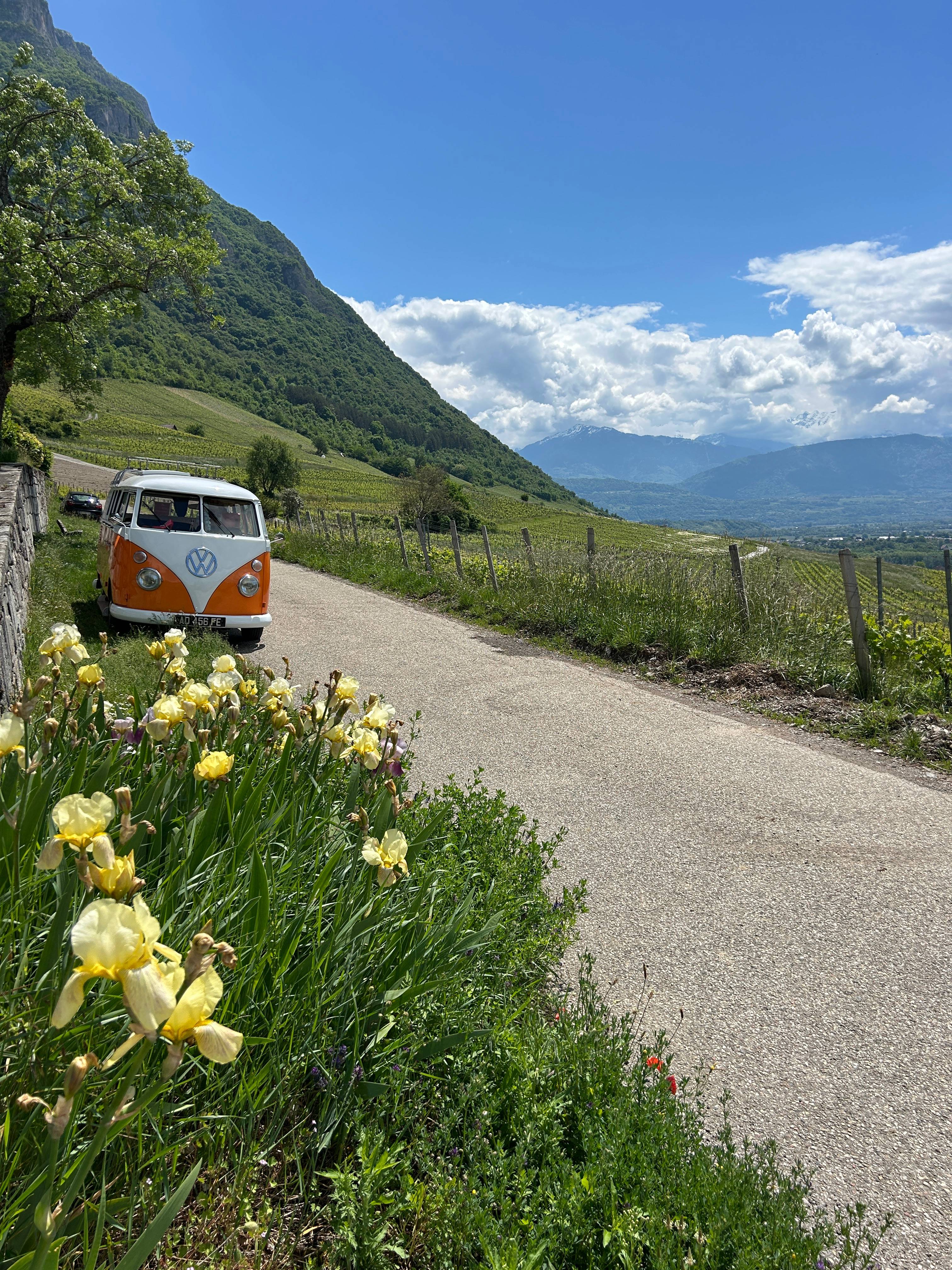 Unusual vintage VW van tour in Savoie