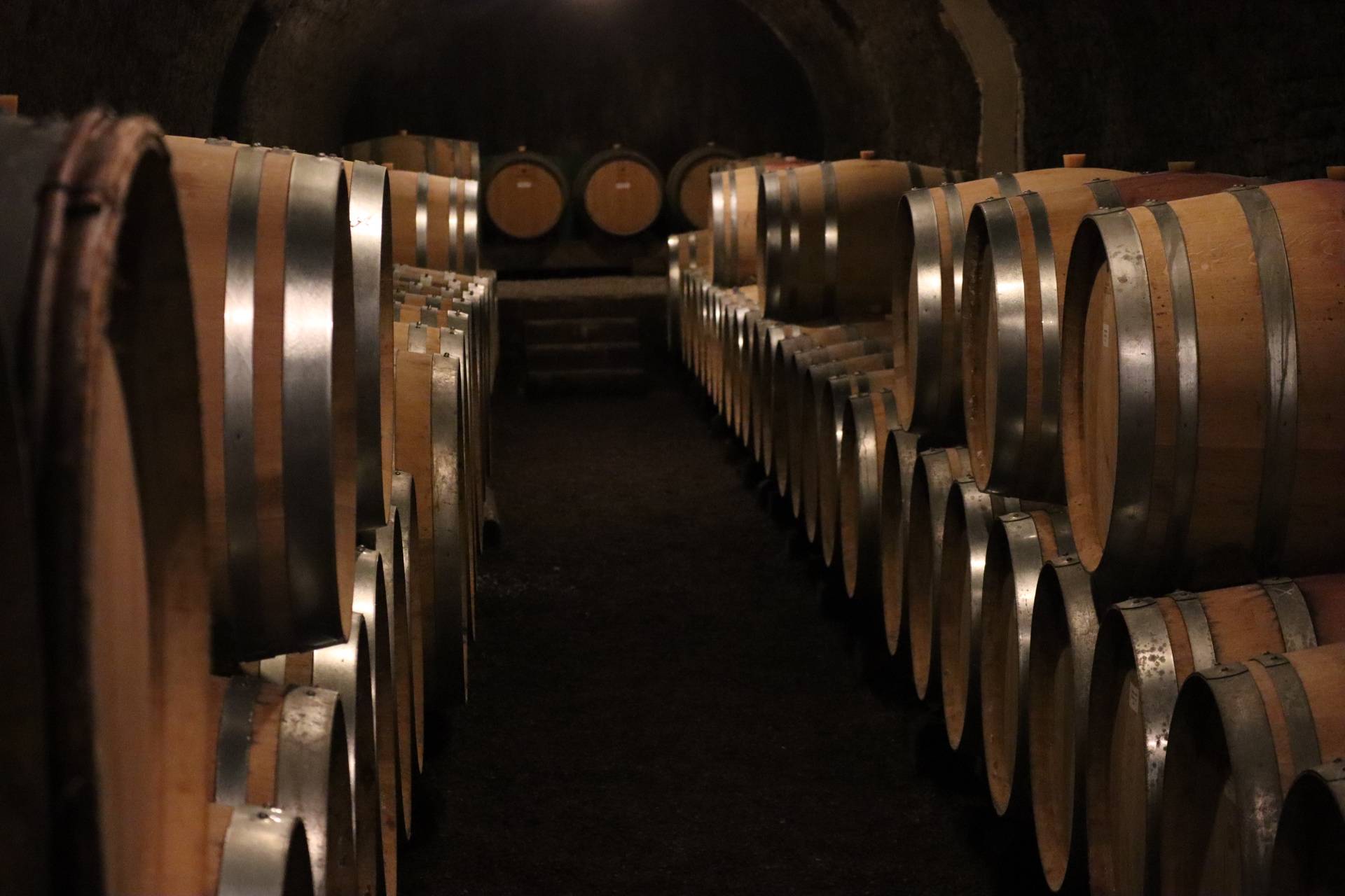 4-hour excursion to the Côte de Beaune with tasting