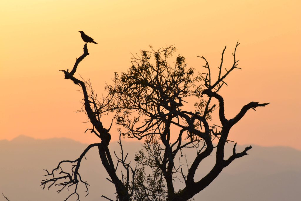 Sunset Visit and Tasting with local products