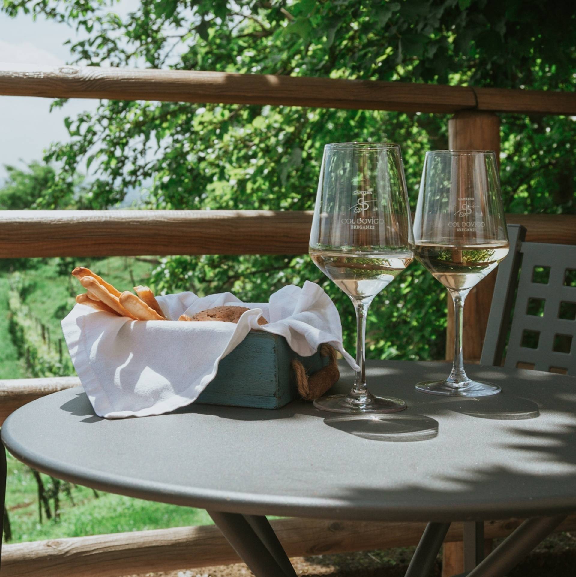 Presentation and tasting of 3 wines